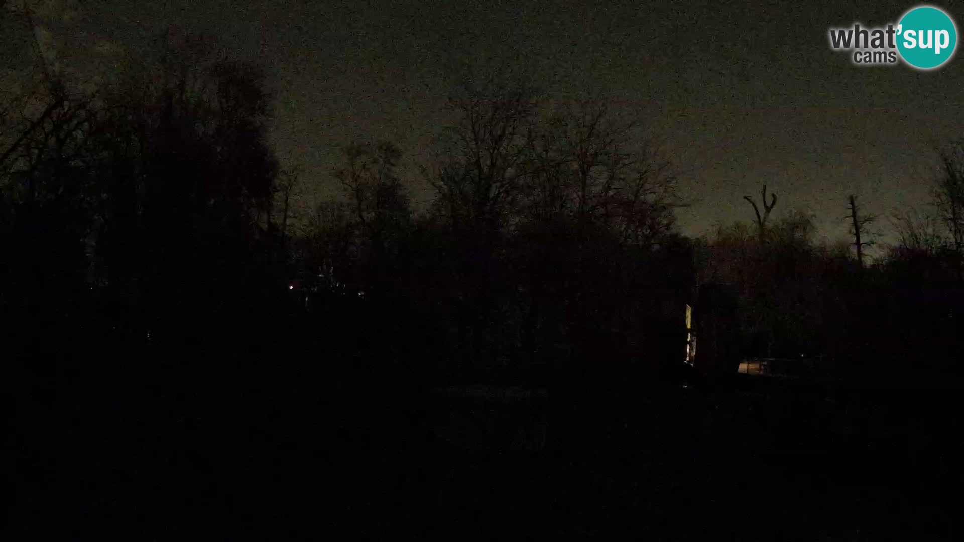 Zoo Zagreb – Leones