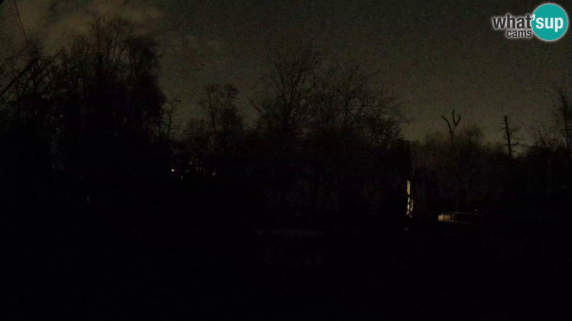 Zoo Zagreb – Leoni