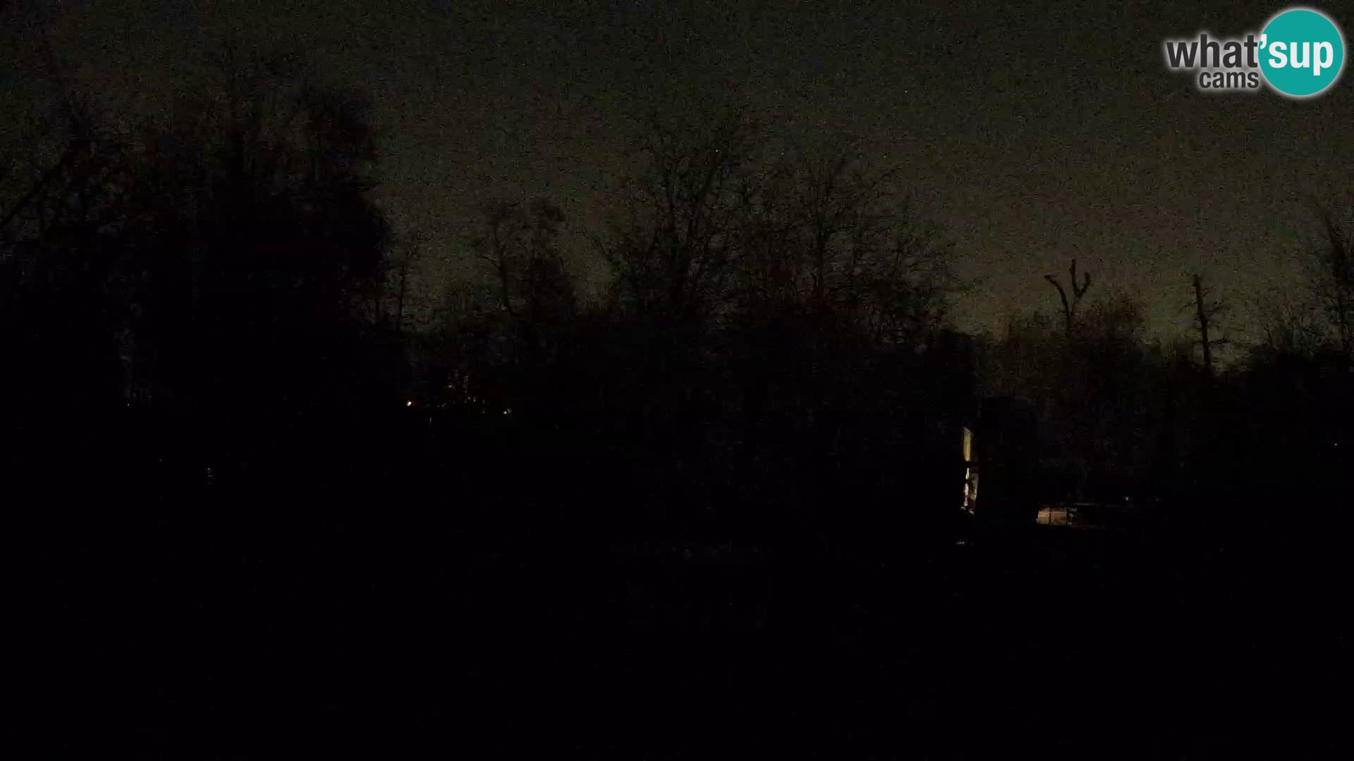 Zoo Zagreb – Leones