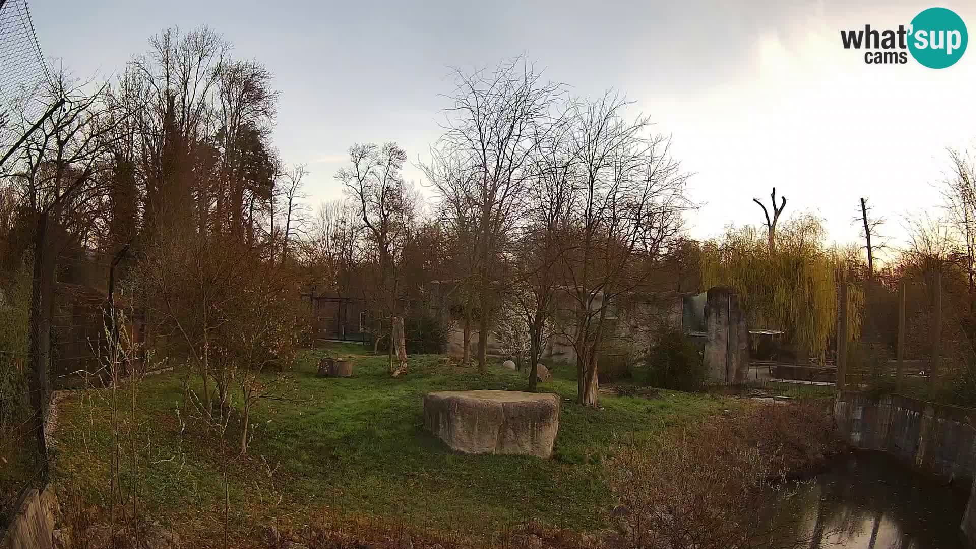 Zoo Zagreb – Leones