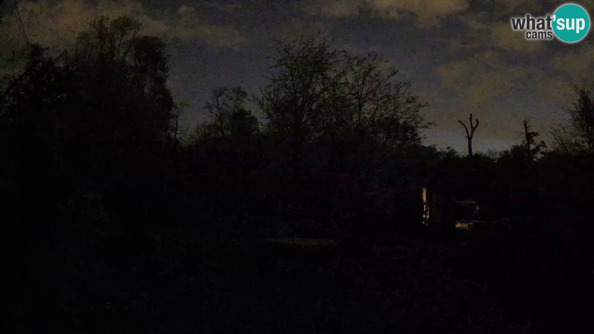 Zoo Zagreb – Leones