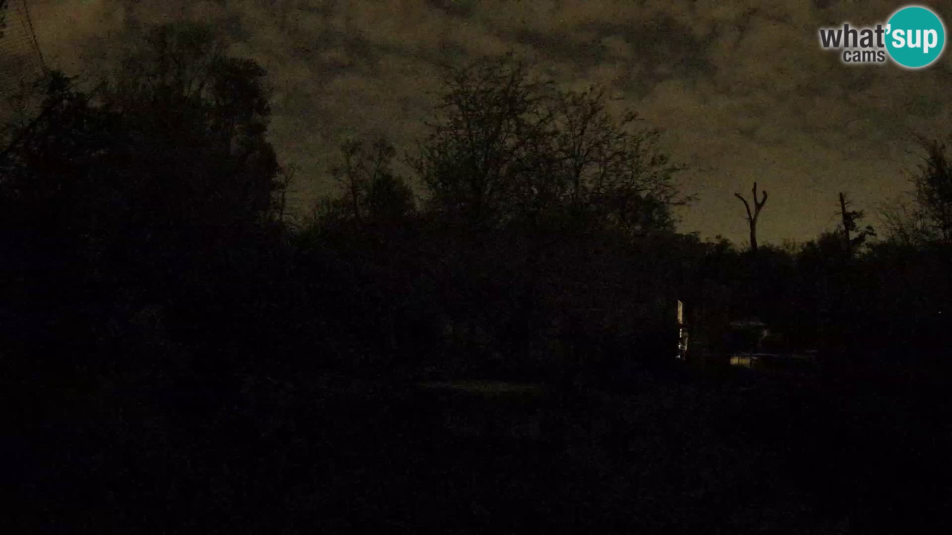 Zoo Zagreb – Lavovi