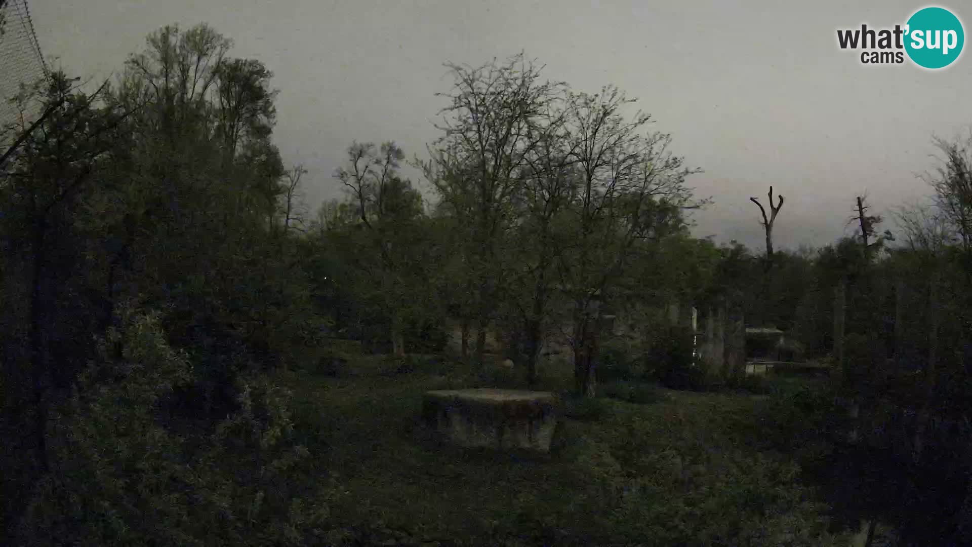 Zoo Zagreb – Leoni