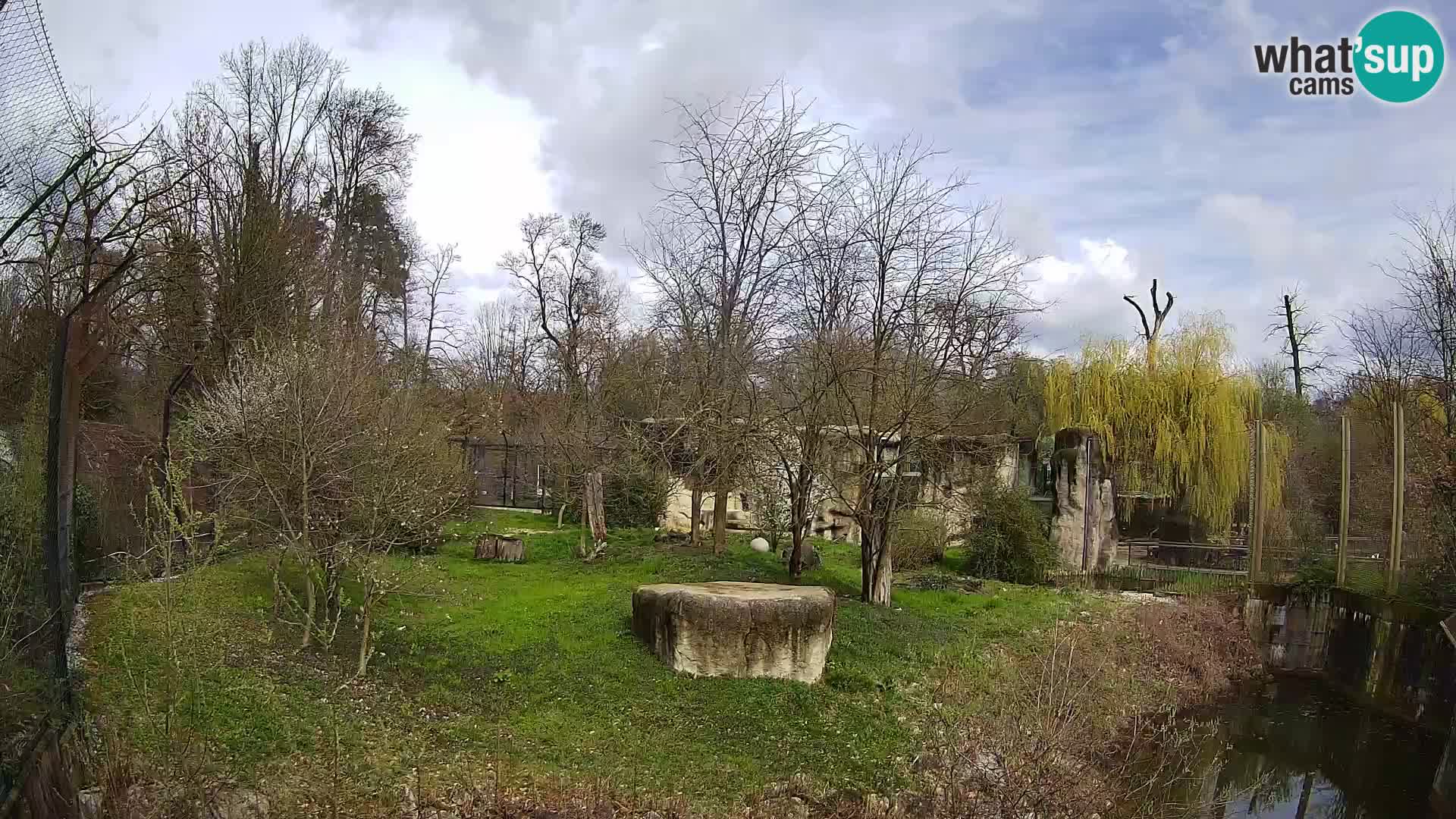 Zoo Zagreb – Löwen