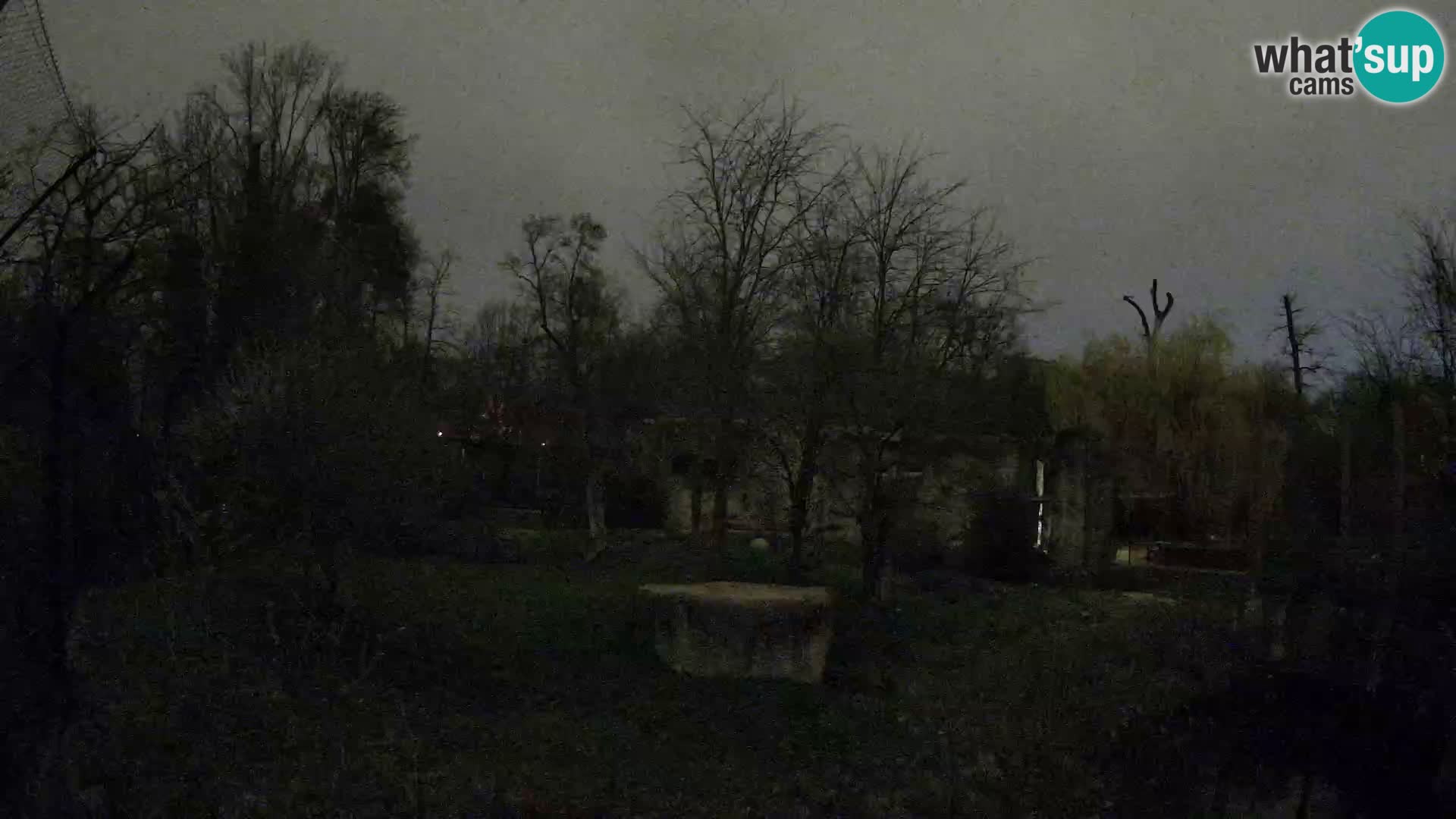 Zoo Zagreb – Lavovi