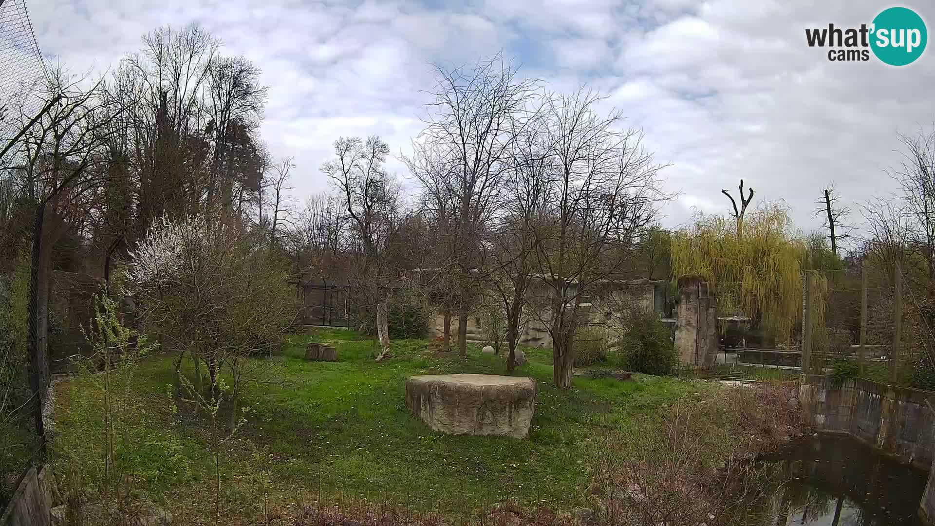 Zoo Zagreb – Leoni