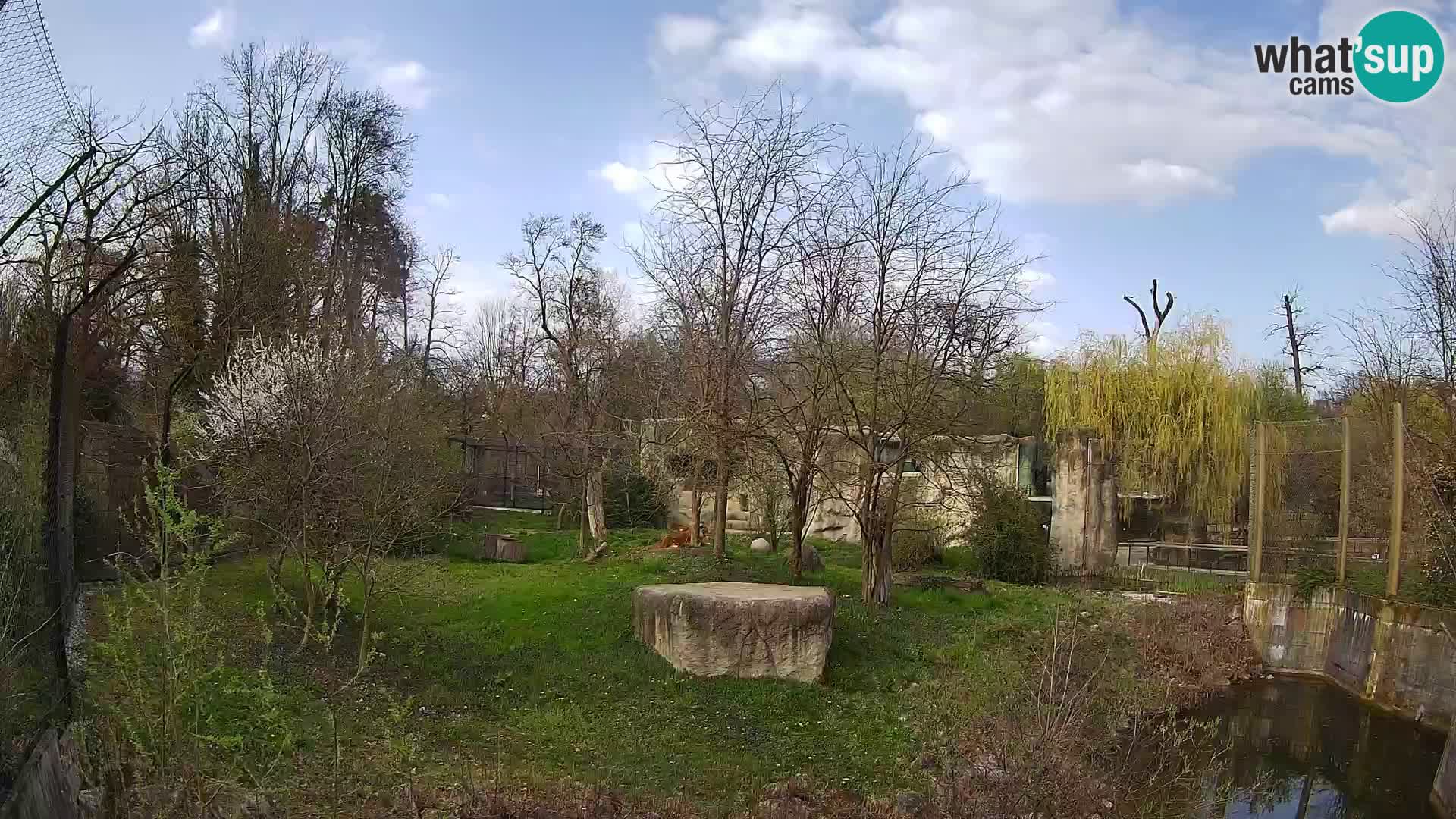 Zoo Zagreb – Leoni