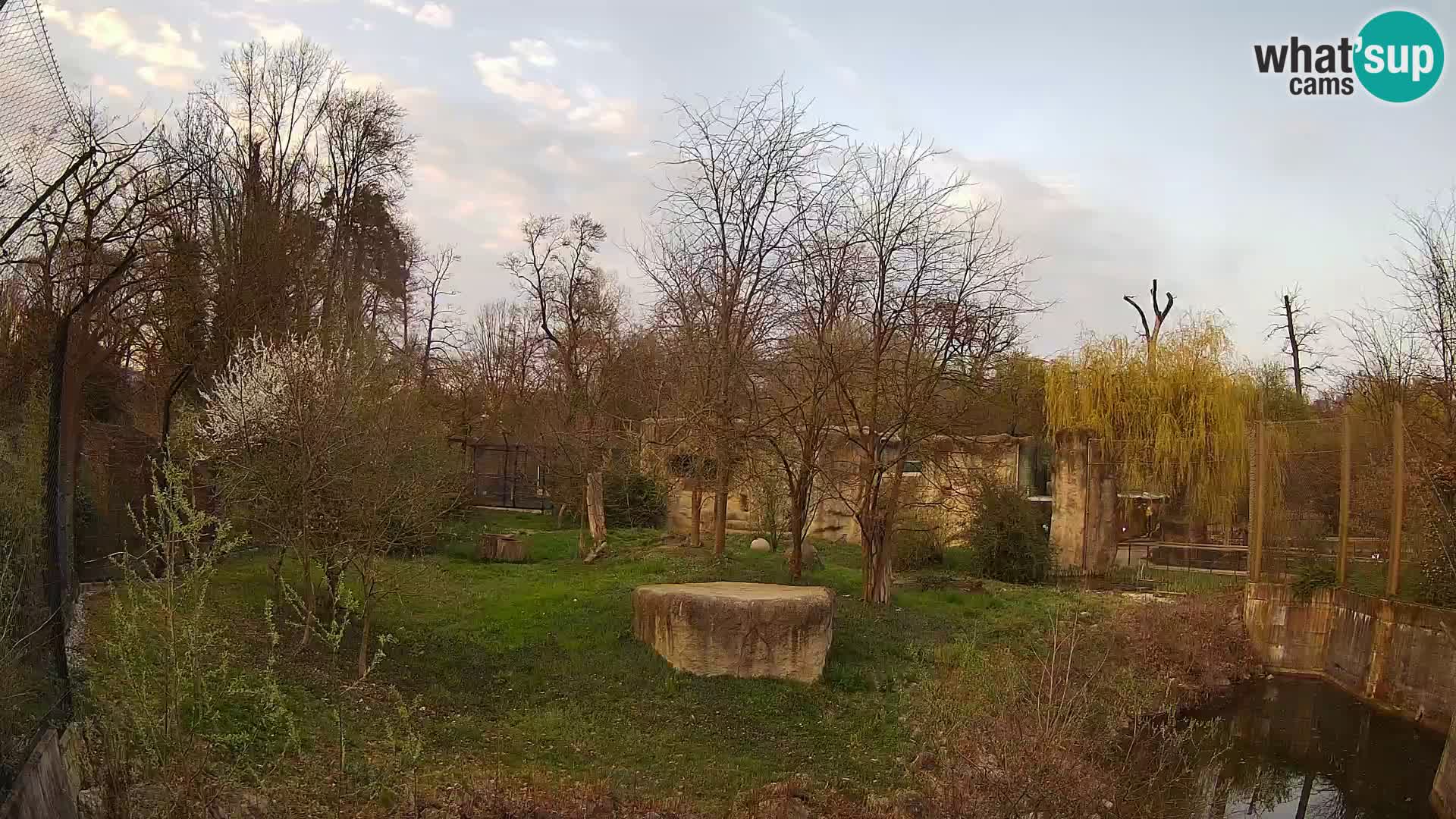 Zoo Zagreb – Leoni