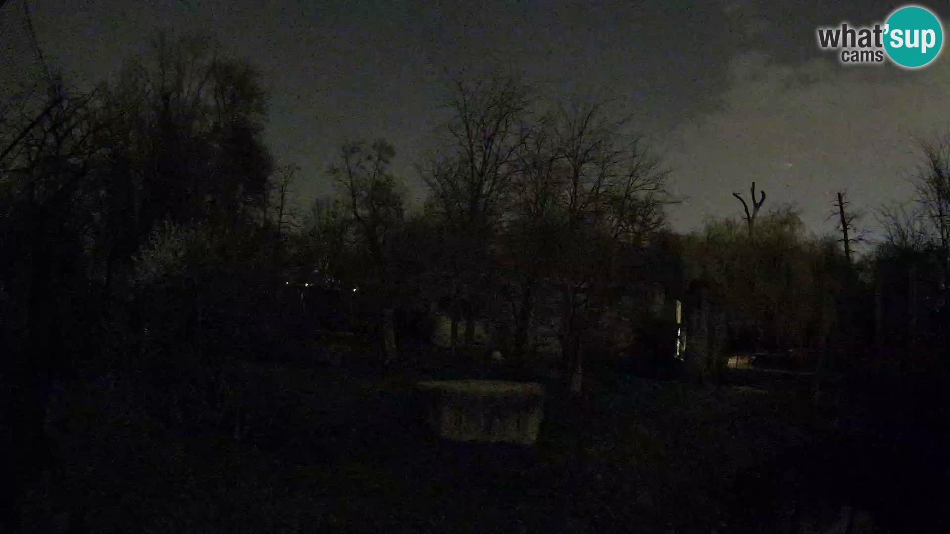 Zoo Zagreb – Lavovi