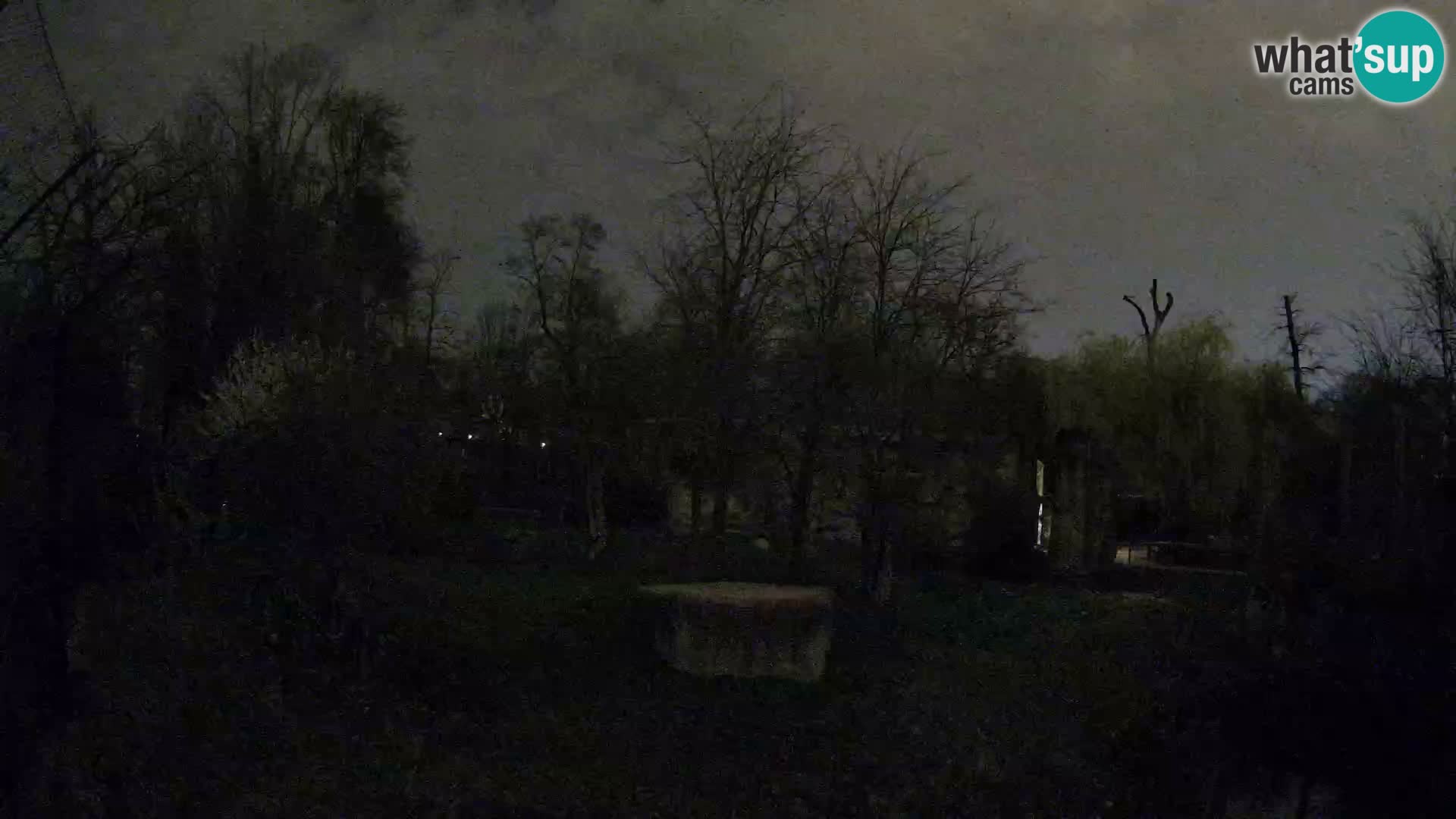 Zoo Zagreb – Lavovi