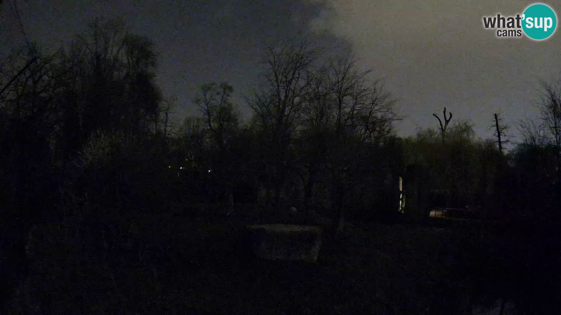 Spletna kamera Zoo Zagreb – Levi