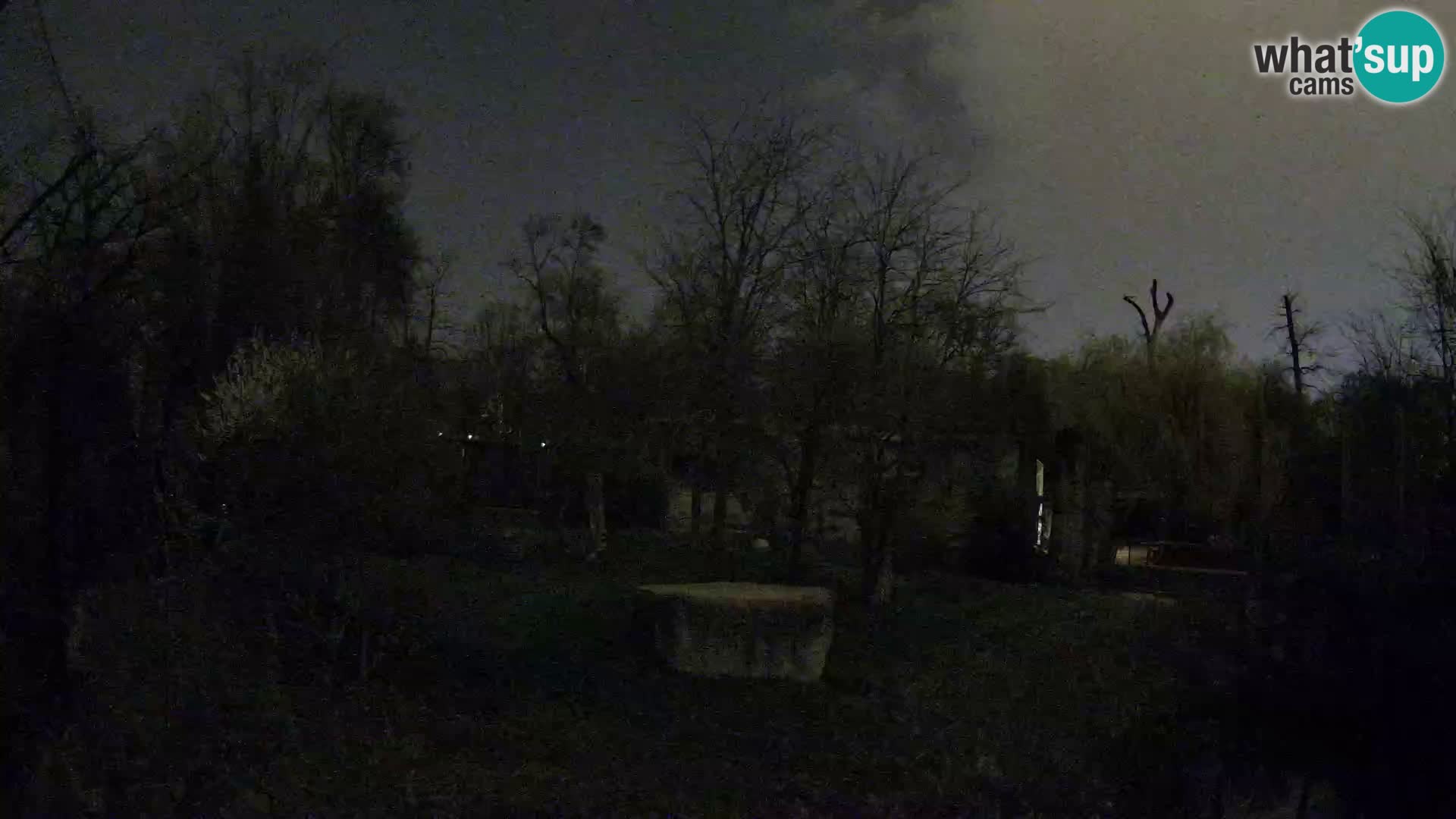 Zoo Zagreb – Leoni