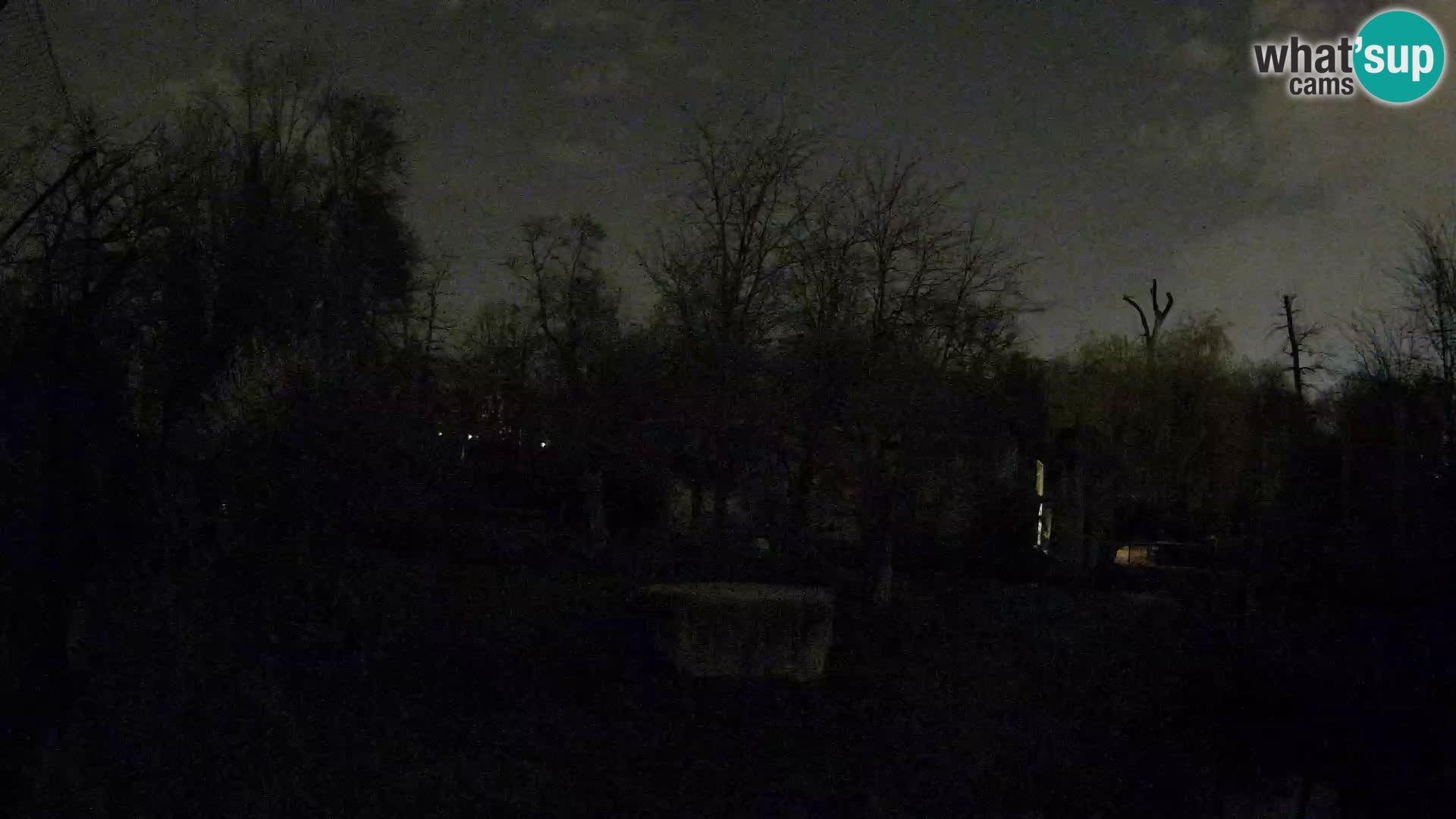 Zoo Zagreb – Leoni