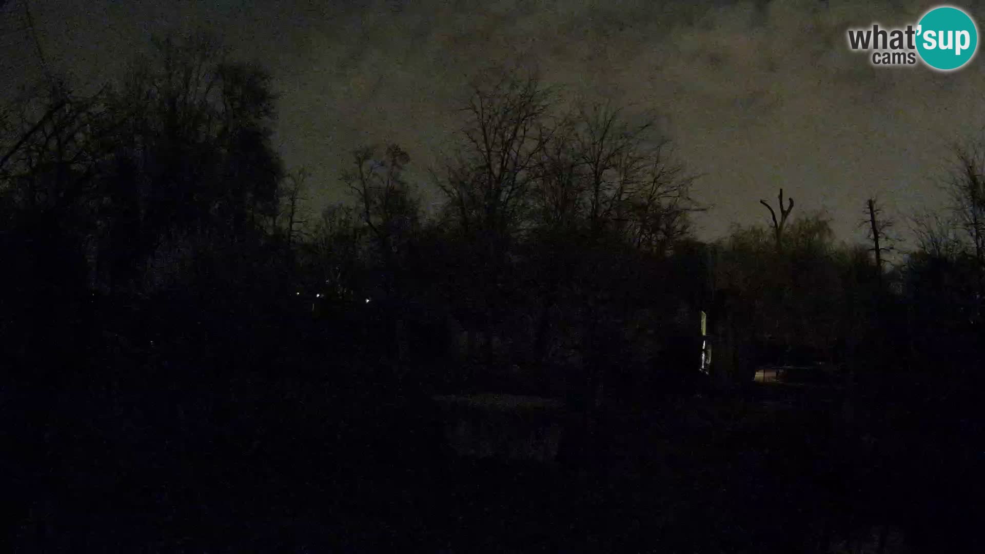 Zoo Zagreb – Löwen