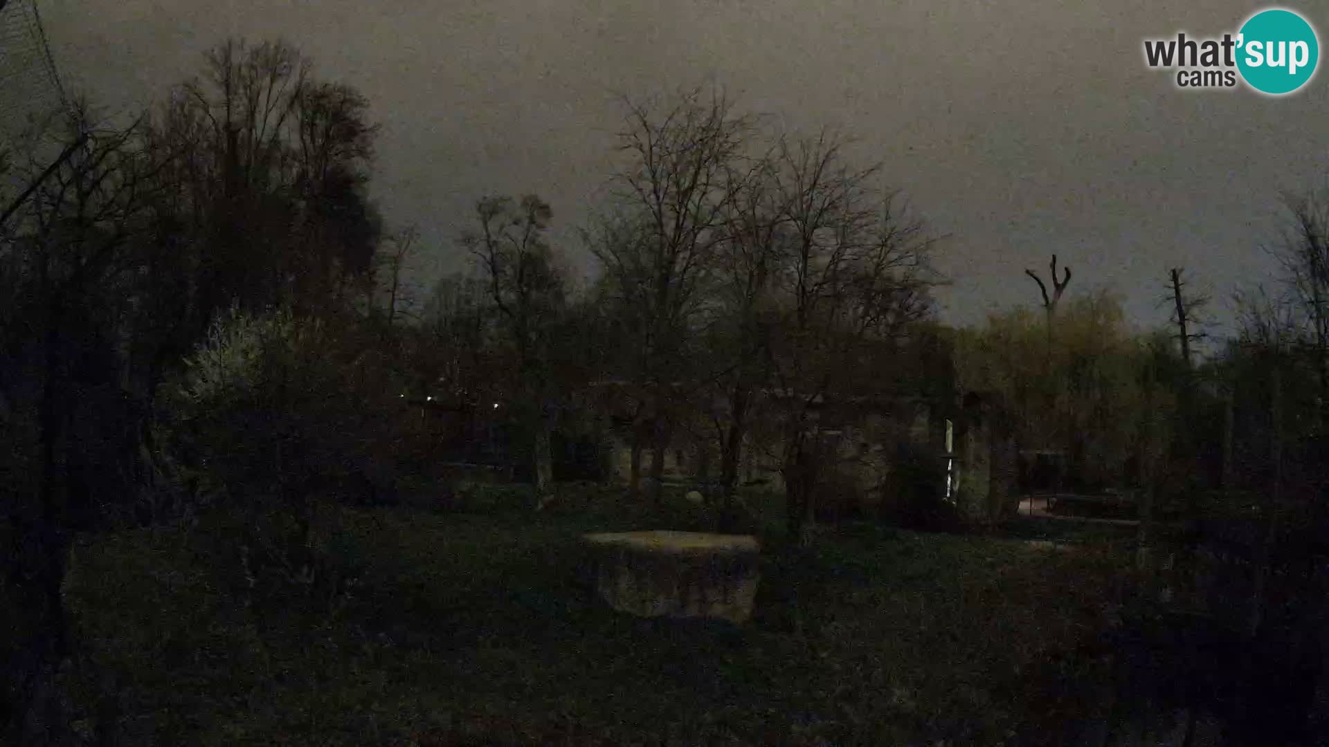 Zoo Zagreb – Löwen