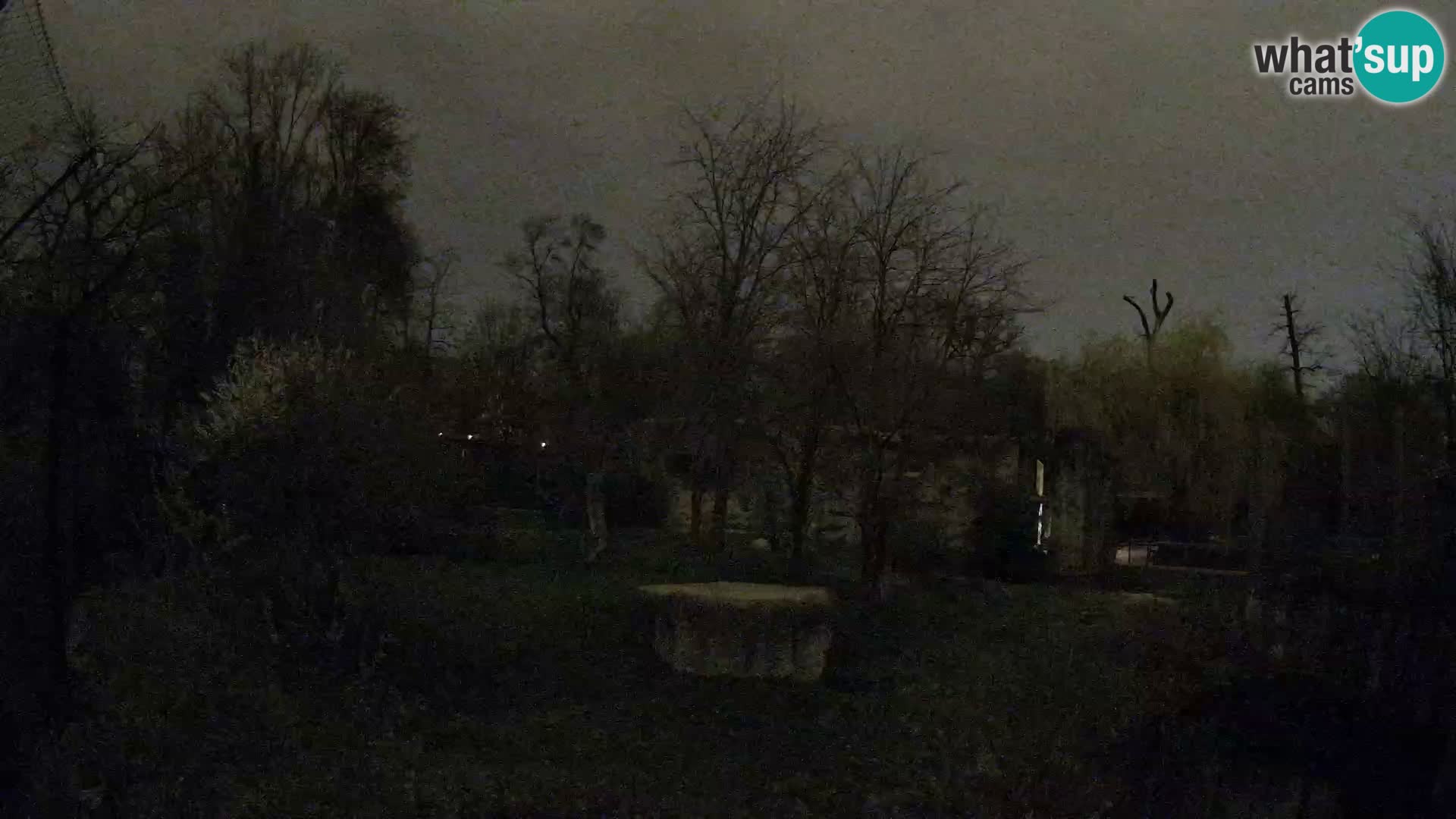 Spletna kamera Zoo Zagreb – Levi