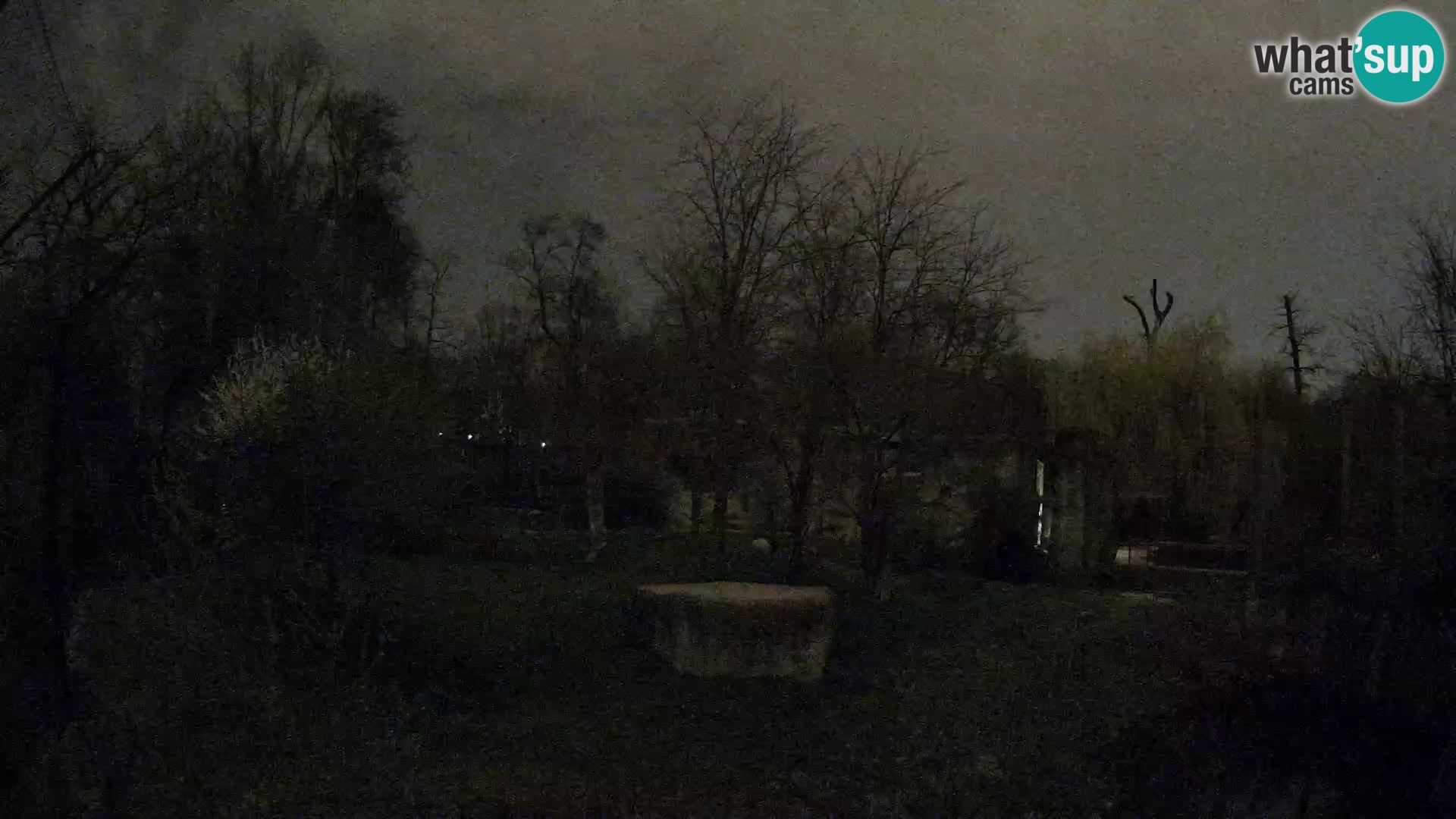 Zoo Zagreb – Leoni