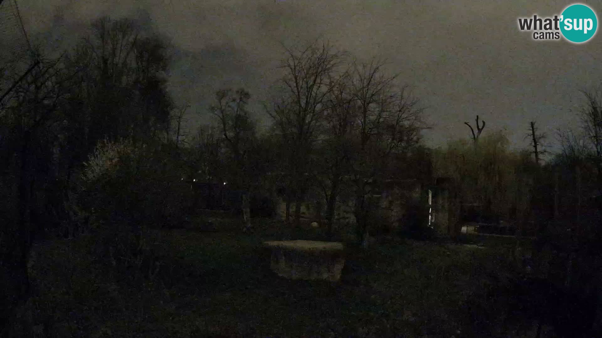 Zoo Zagreb – Leoni