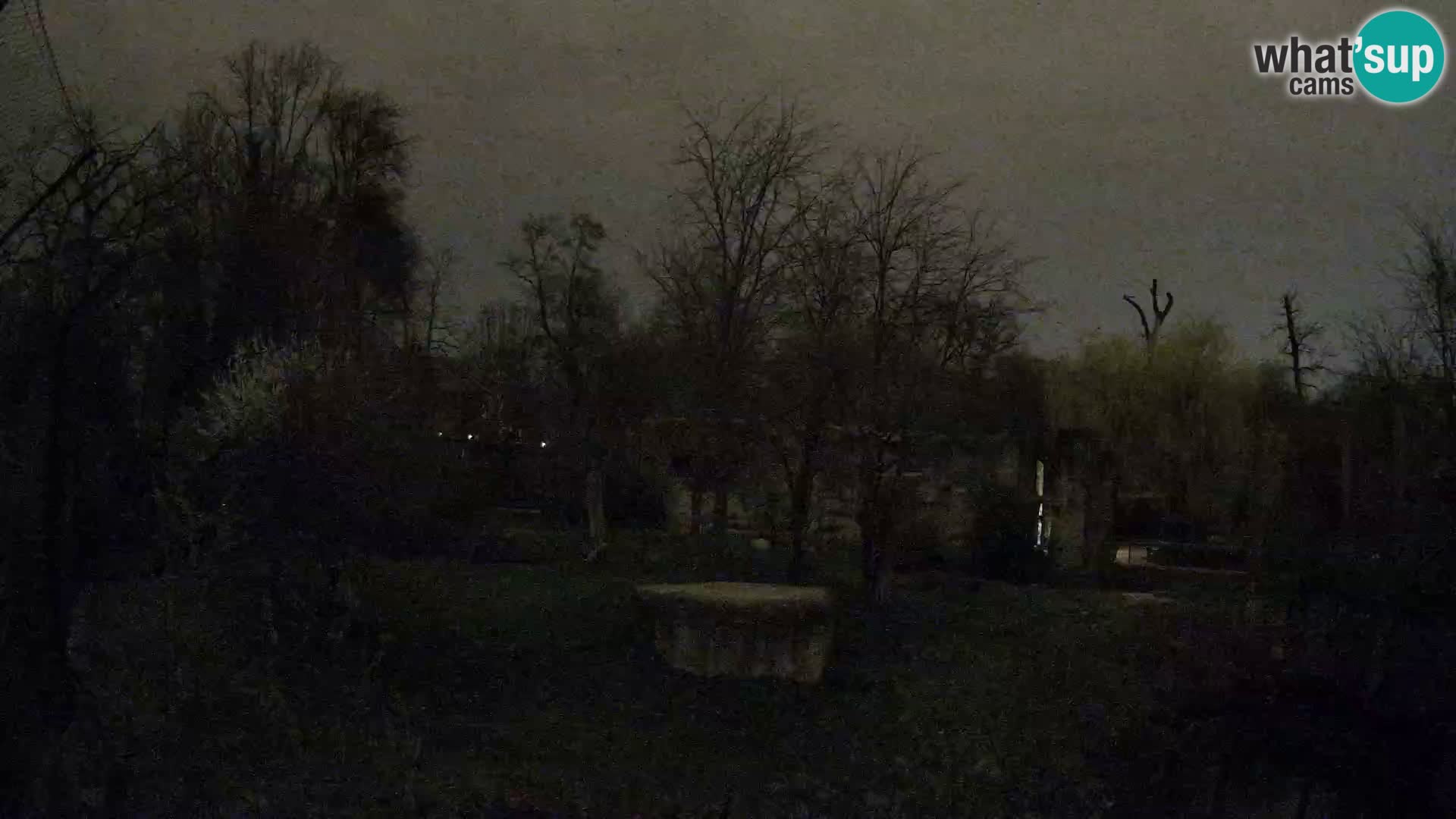 Zoo Zagreb – Leones