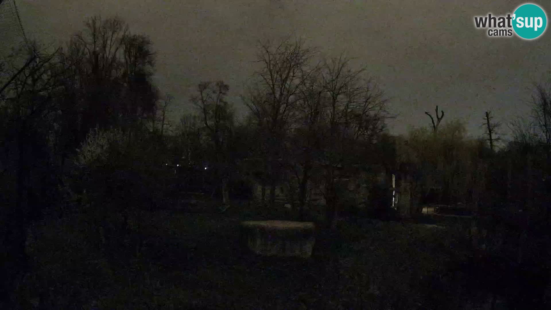 Zoo Zagreb – Lavovi