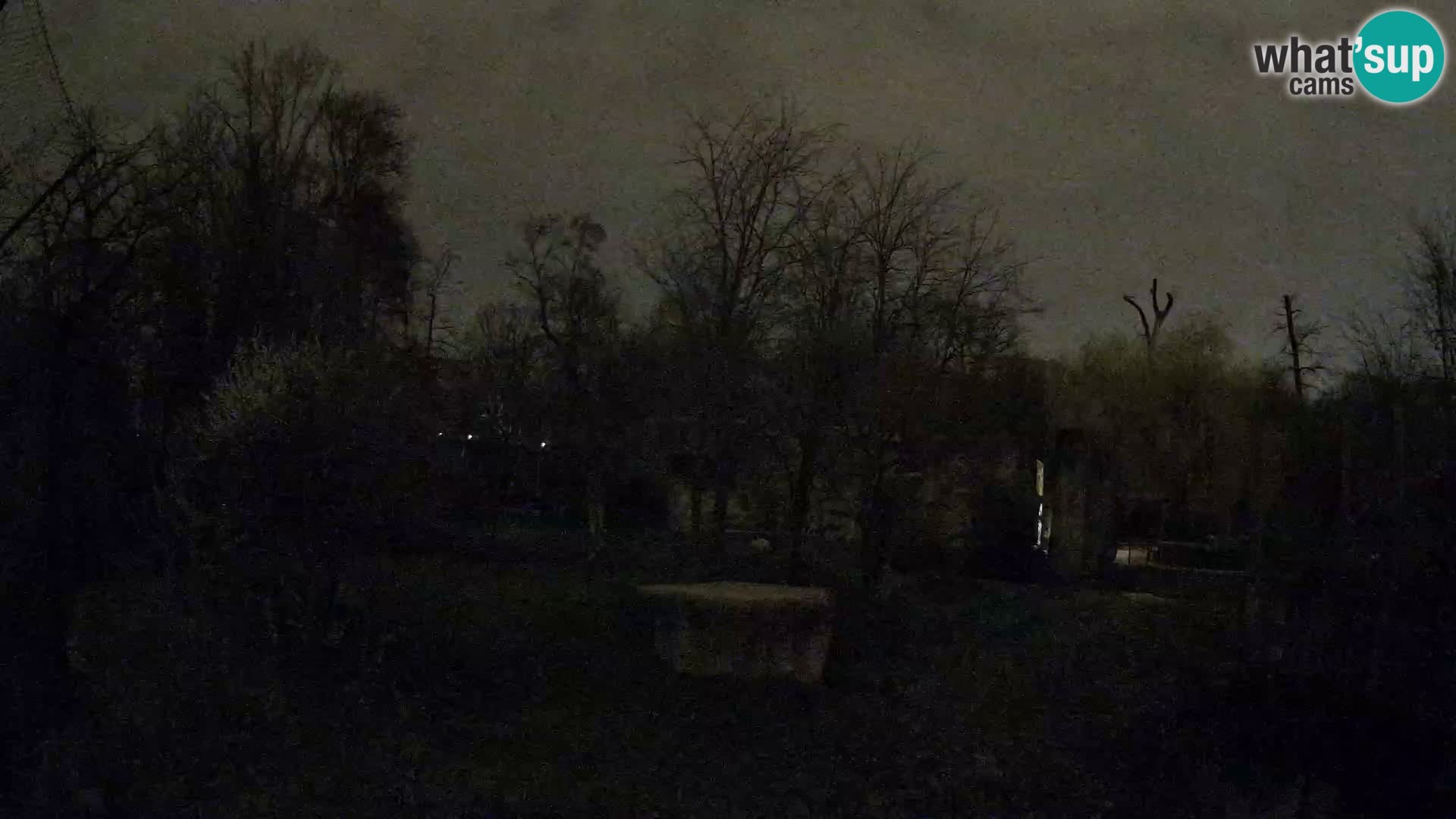 Zoo Zagreb – Leones