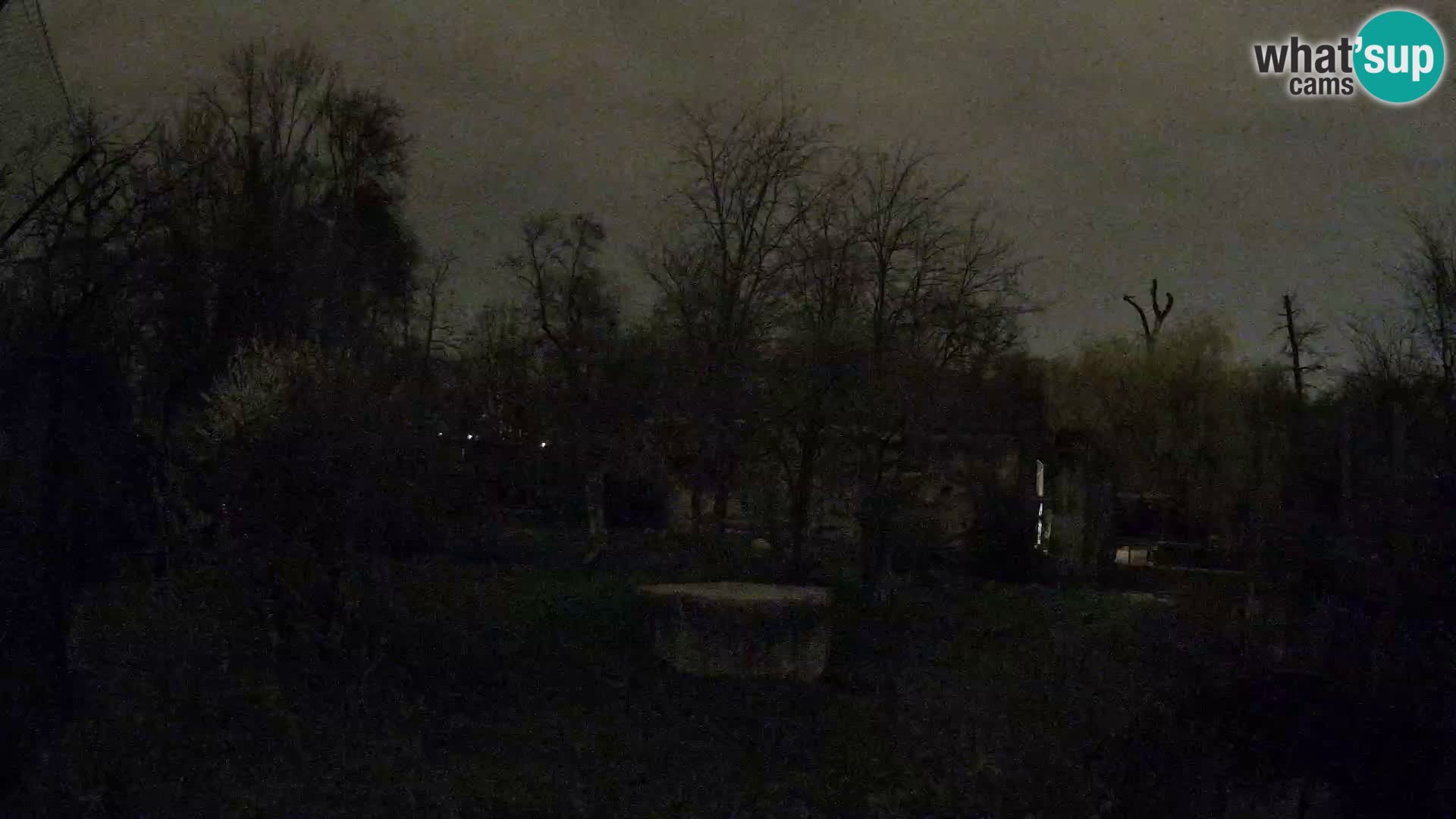 Zoo Zagreb – Löwen