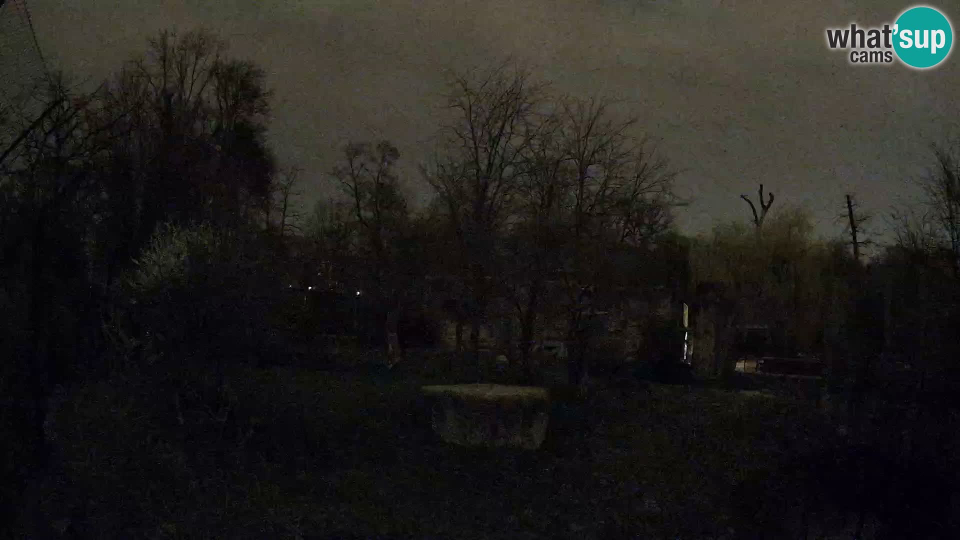 Zoo Zagreb – Leoni