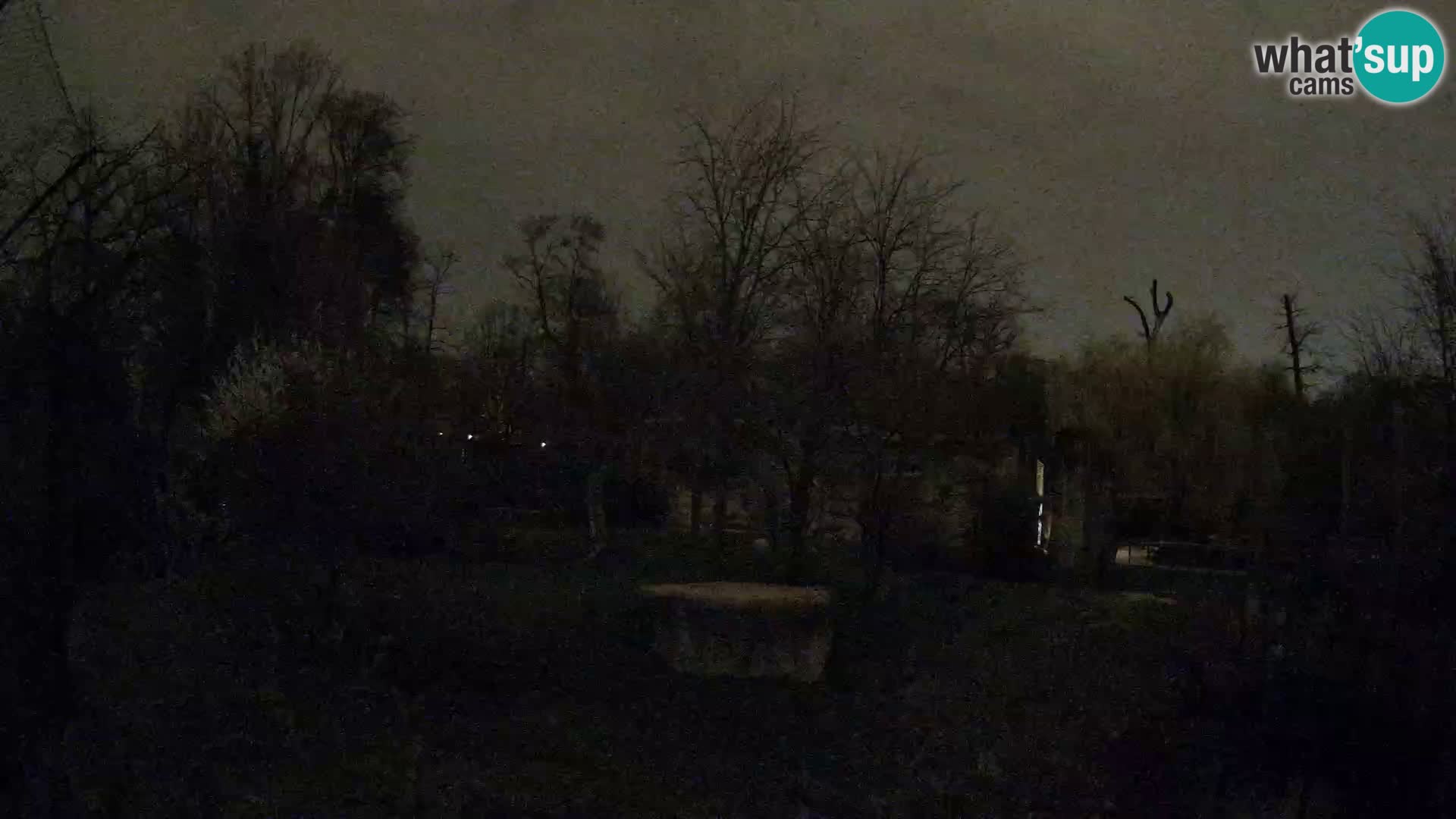 Zoo Zagreb – Leoni