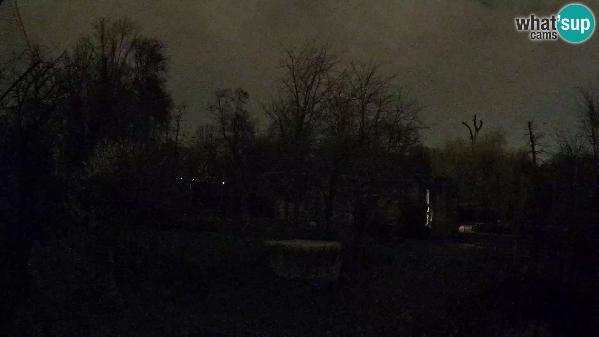 Zoo Zagreb – Löwen