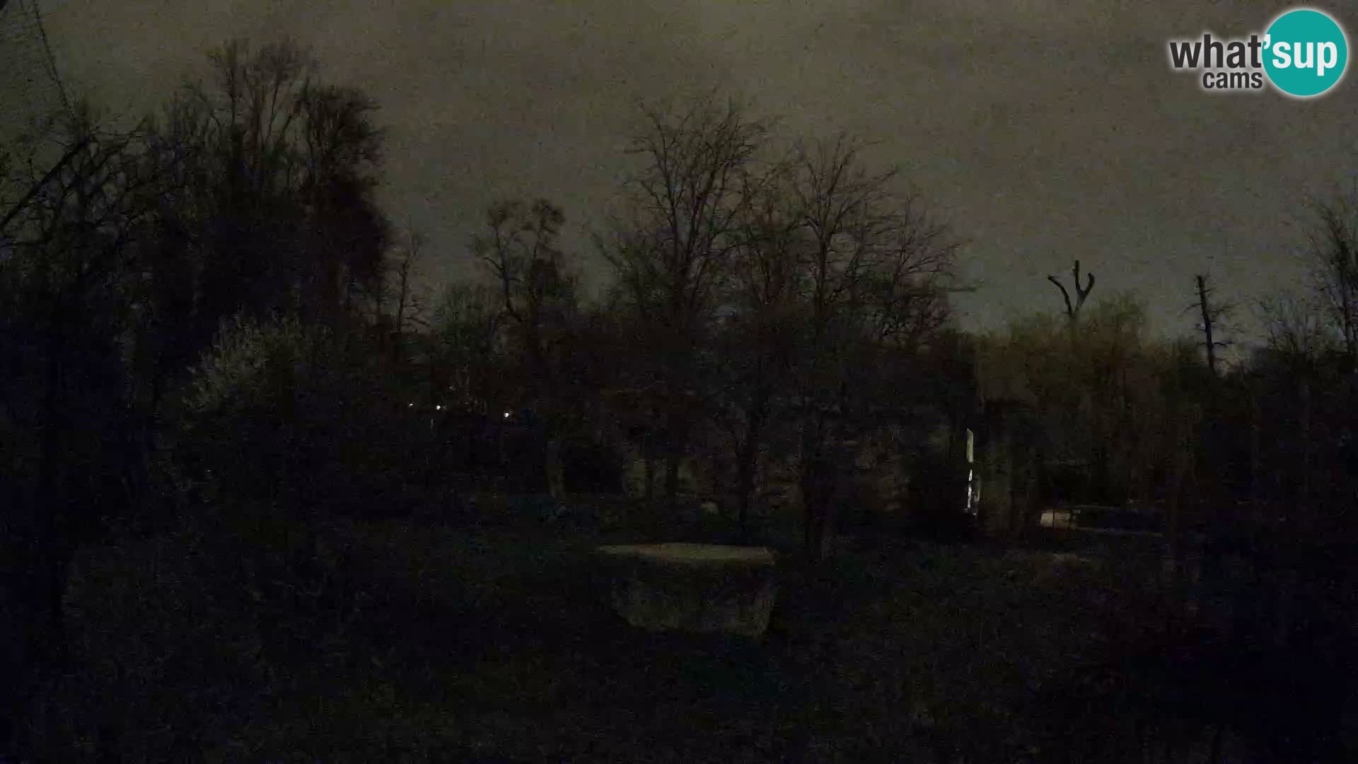 Spletna kamera Zoo Zagreb – Levi