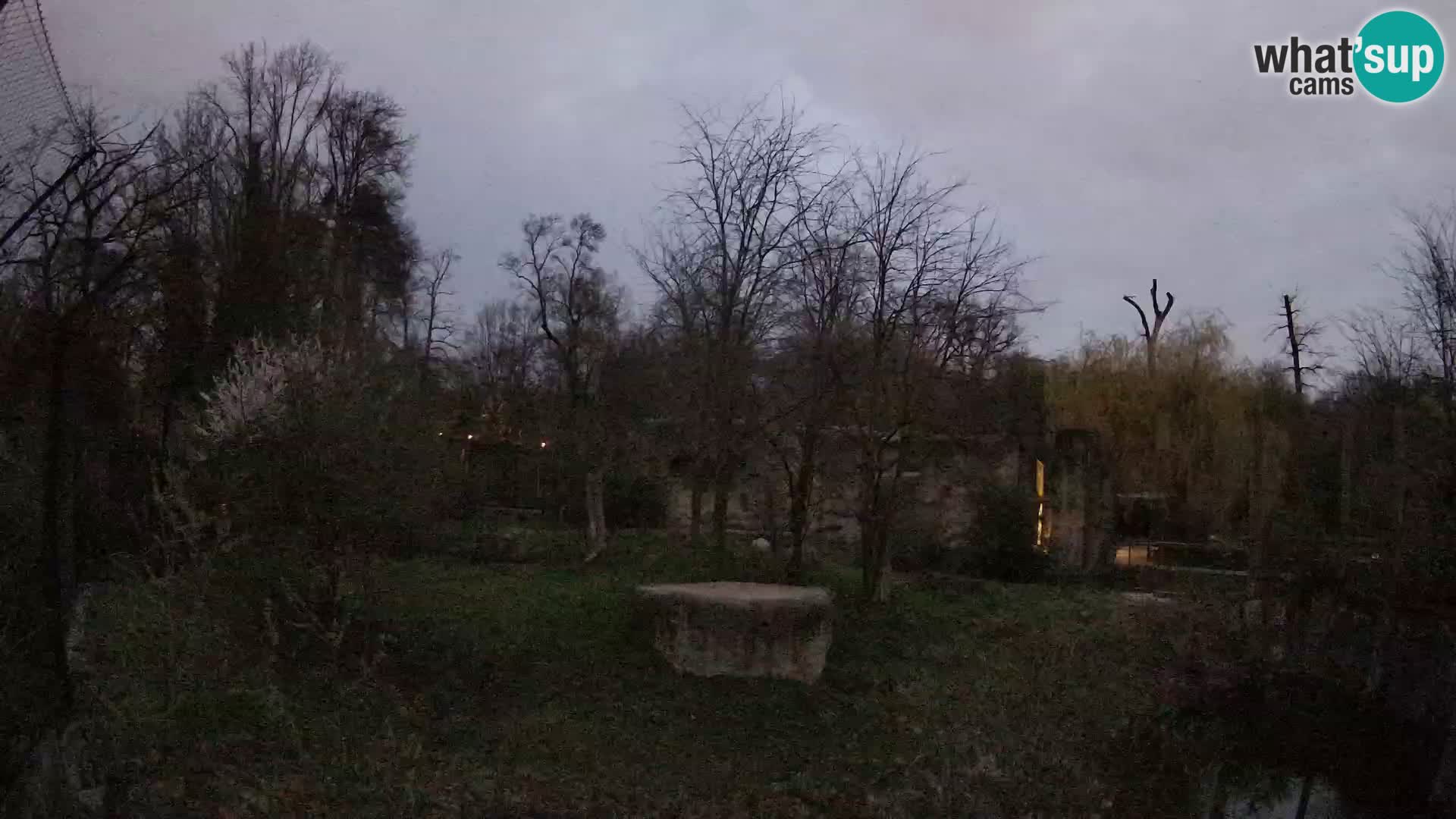 Zoo Zagreb – Leoni