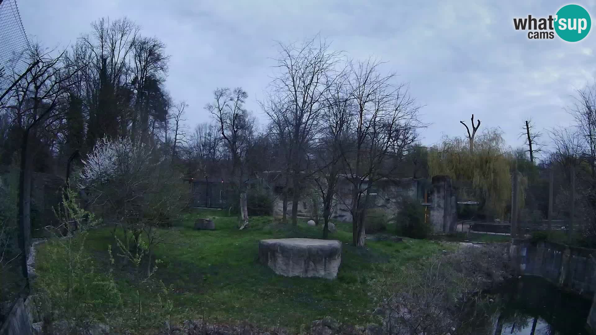 Zoo Zagreb – Leones