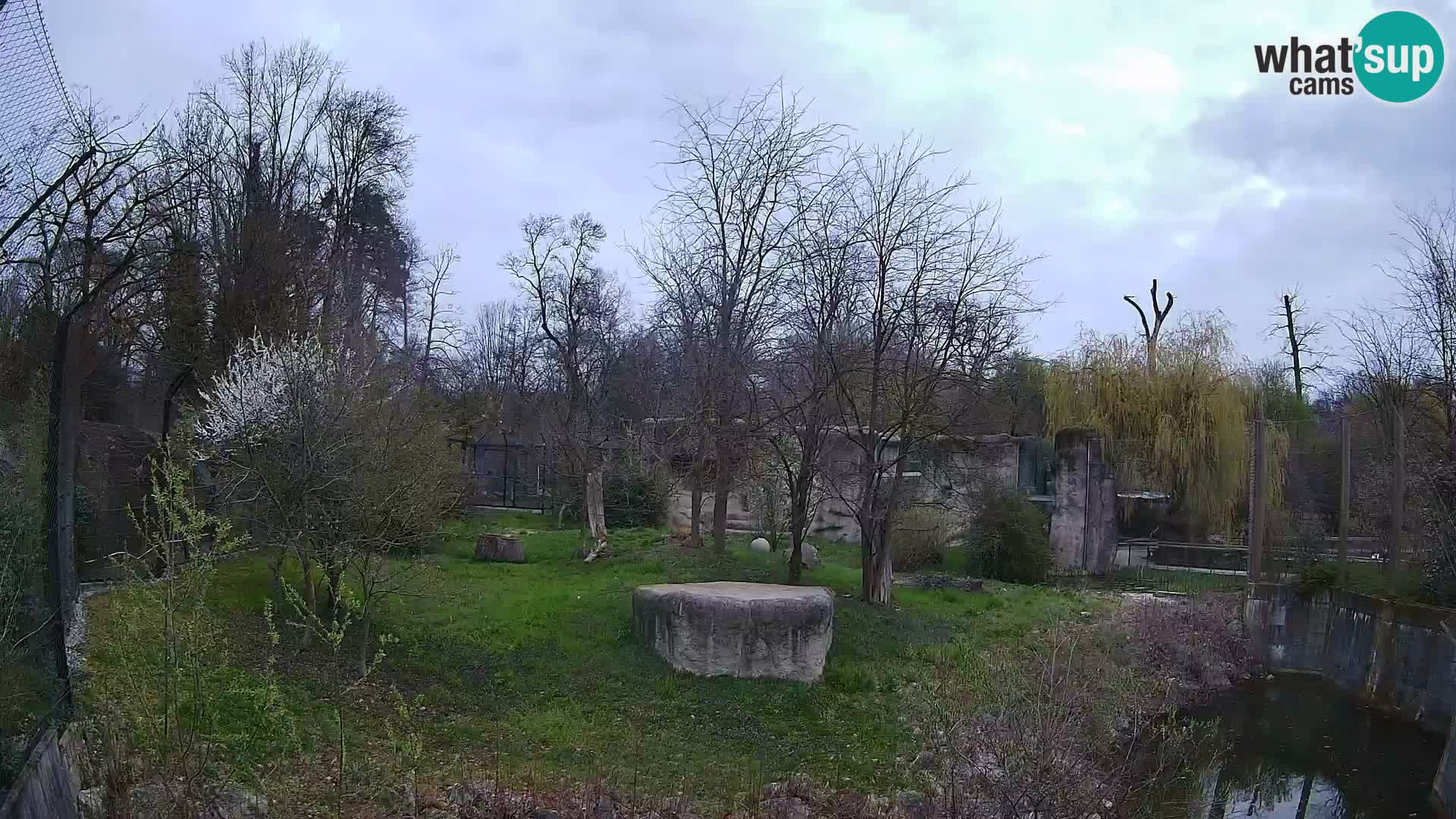 Zoo Zagreb – Leones