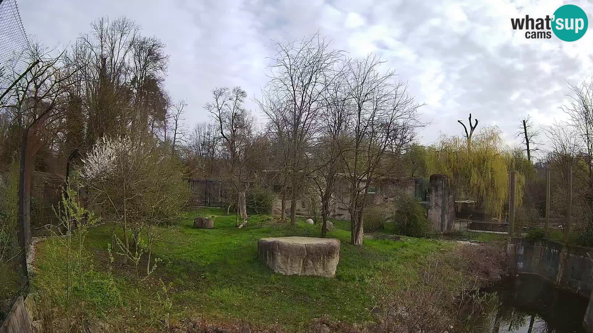 Zoo Zagreb – Leoni