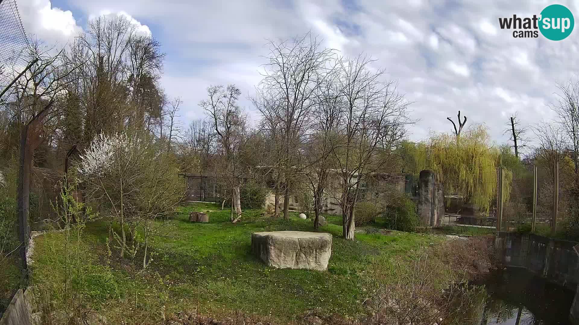 Spletna kamera Zoo Zagreb – Levi