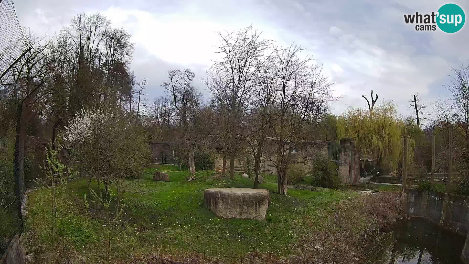 Zoo Zagreb – Leoni