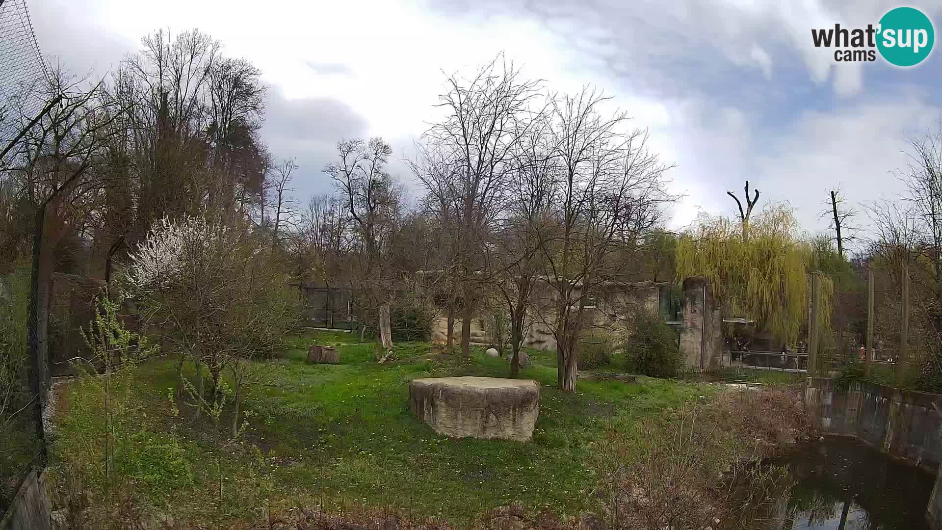 Zoo Zagreb – Leones