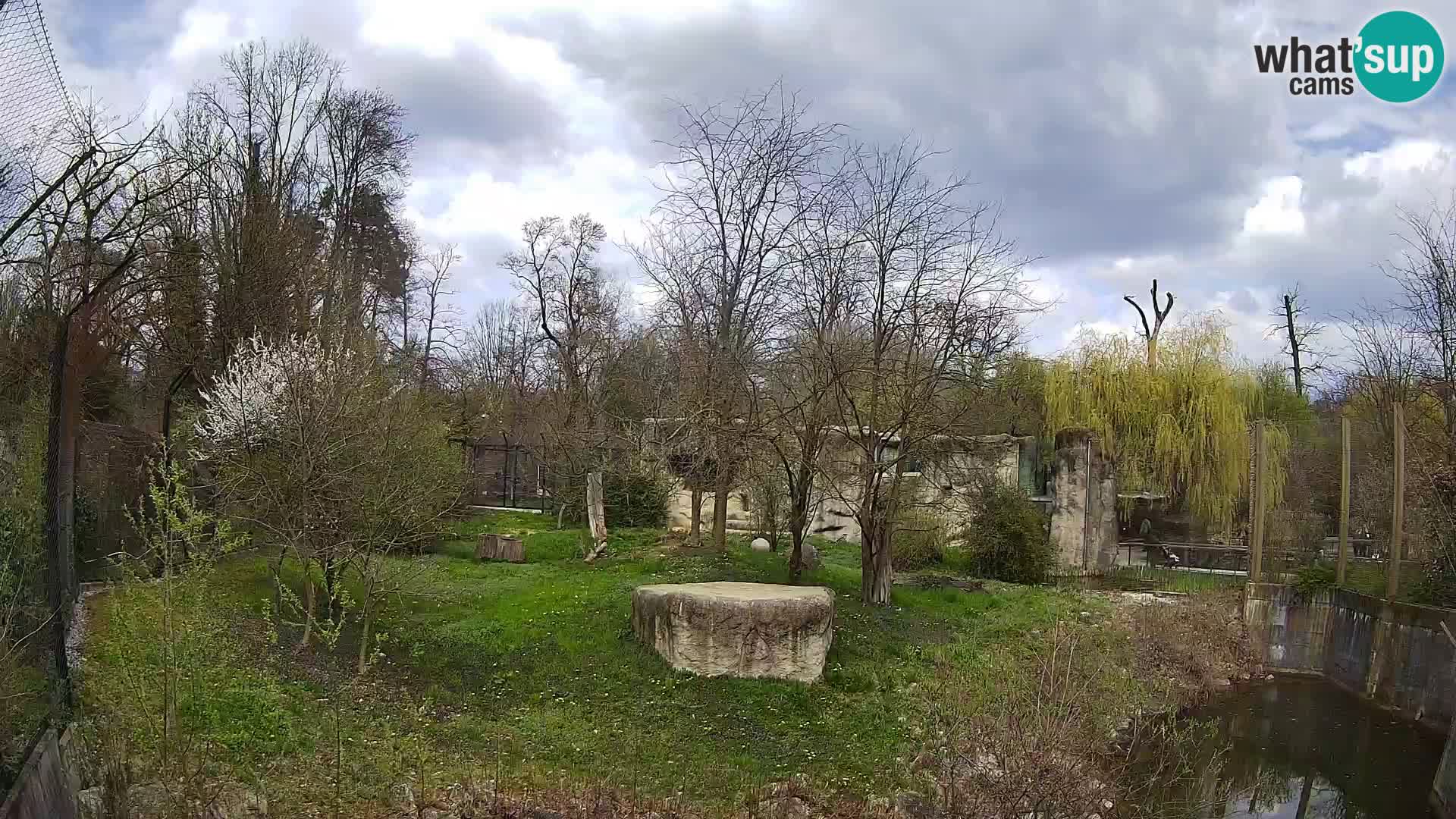 Zoo Zagreb – Lavovi