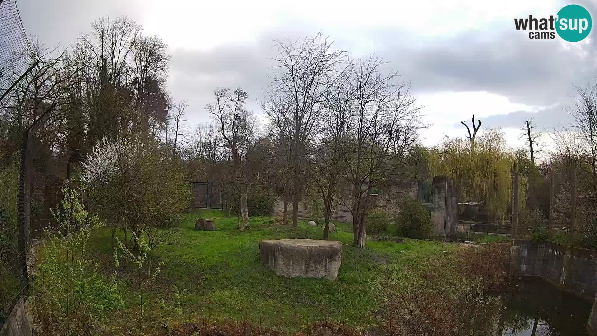 Spletna kamera Zoo Zagreb – Levi