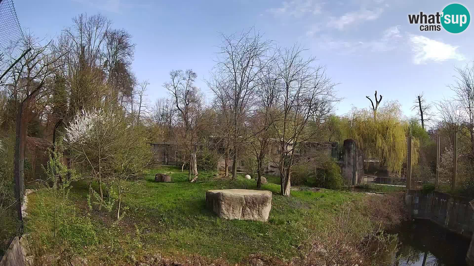 Zoo Zagreb – Löwen