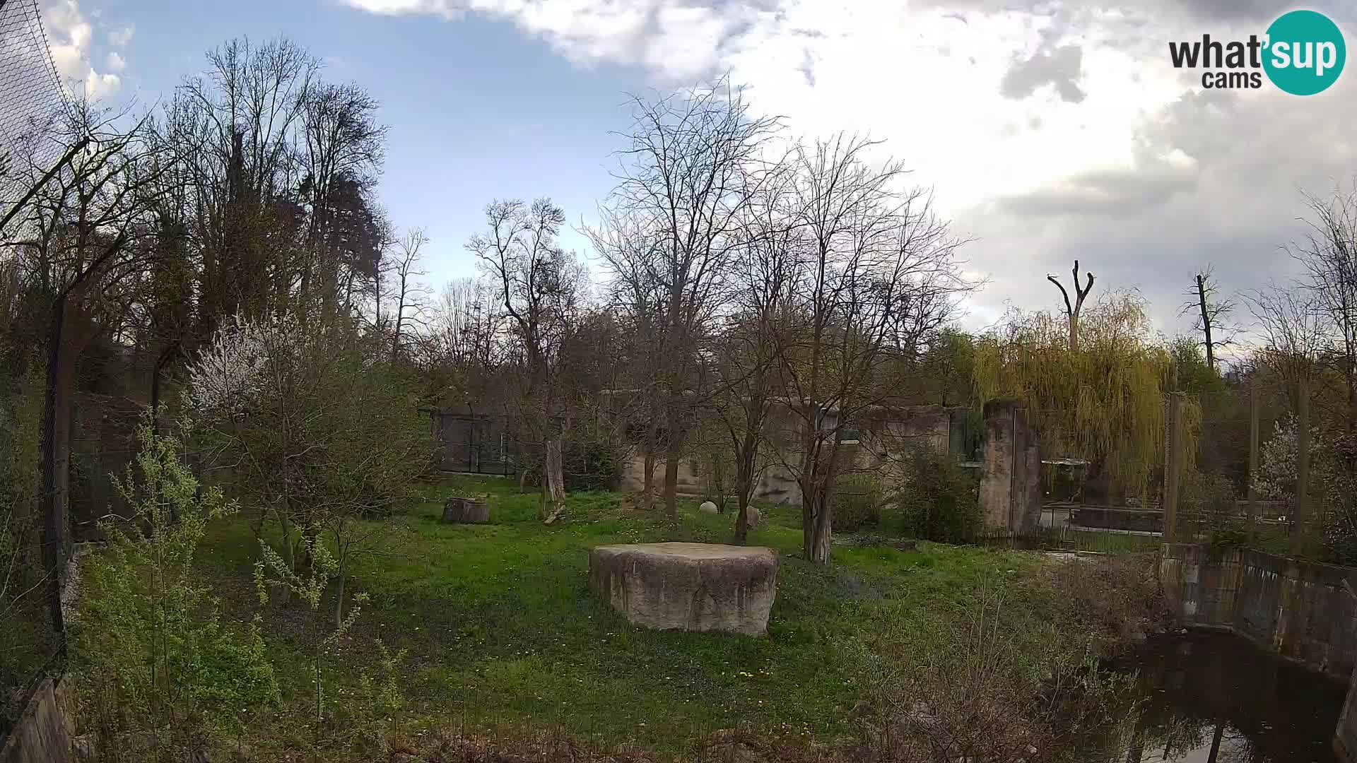 Zoo Zagreb – Lavovi