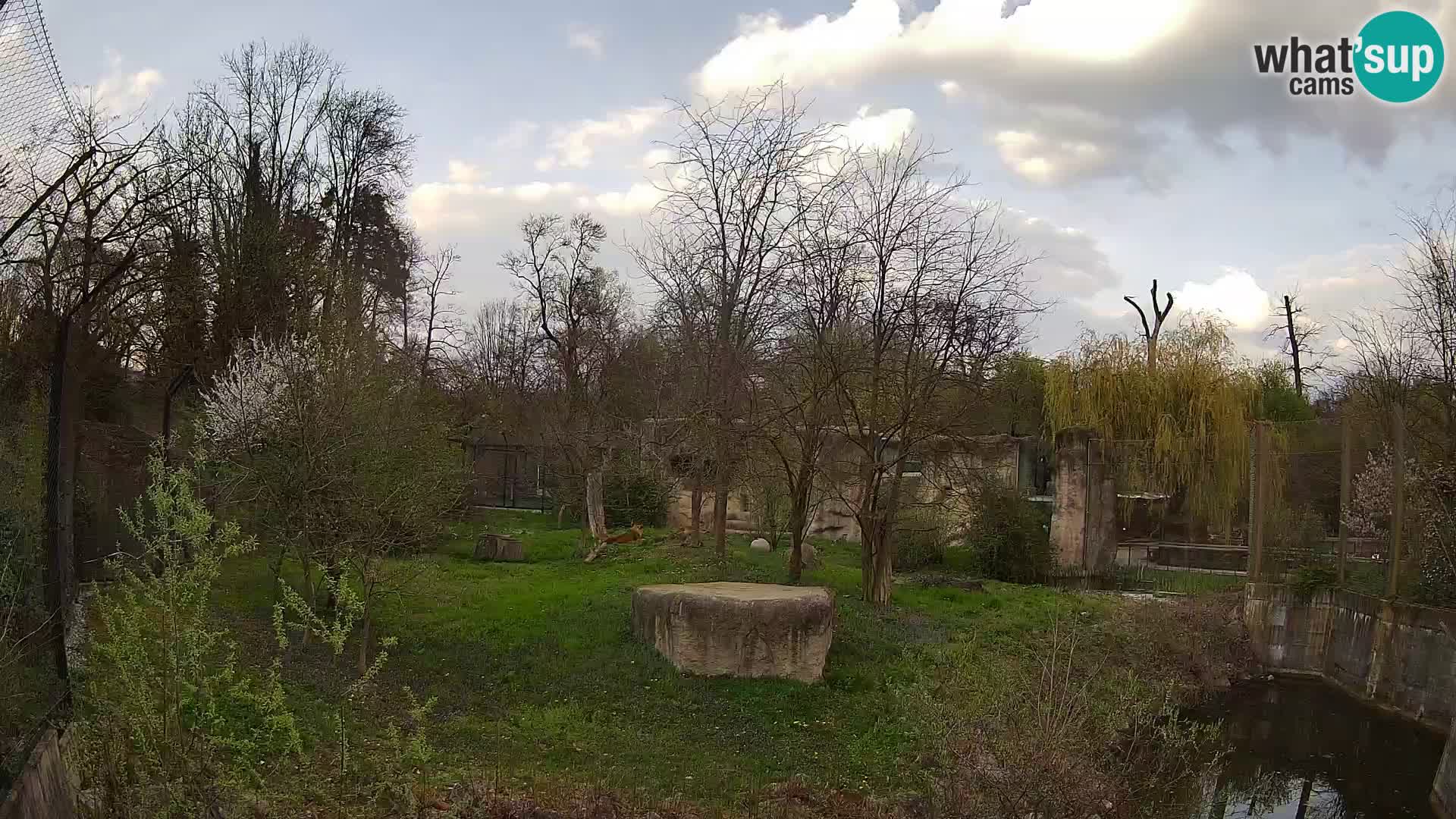 Zoo Zagreb – Leoni