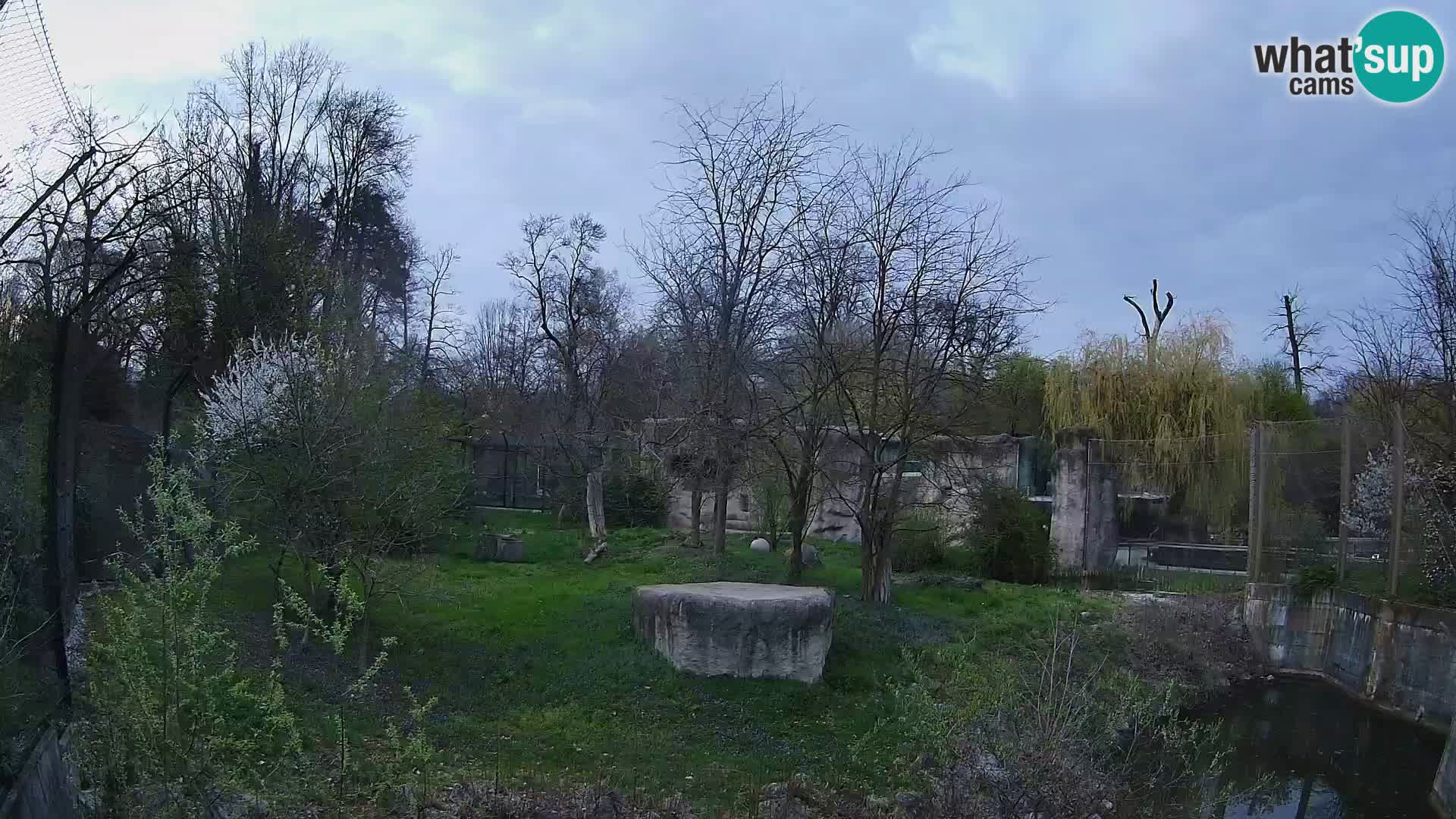 Zoo Zagreb – Leoni