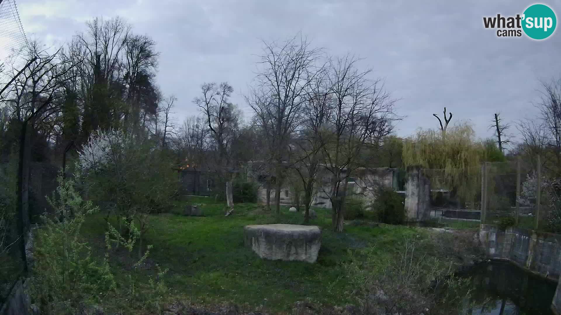 Zoo Zagreb – Leoni