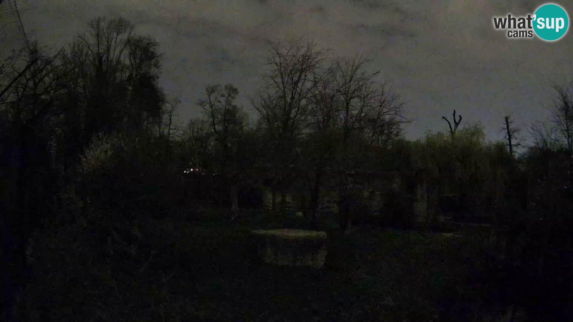 Spletna kamera Zoo Zagreb – Levi