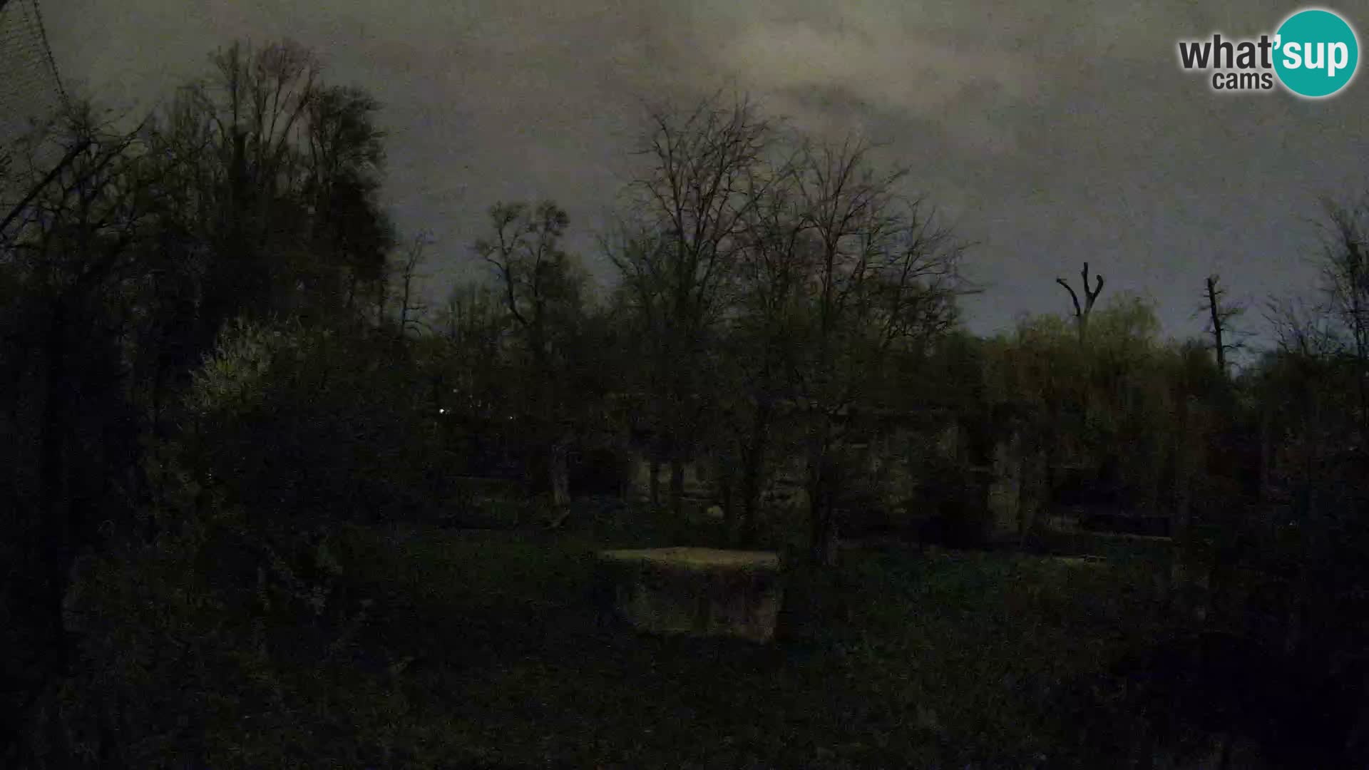 Zoo Zagreb – Leoni