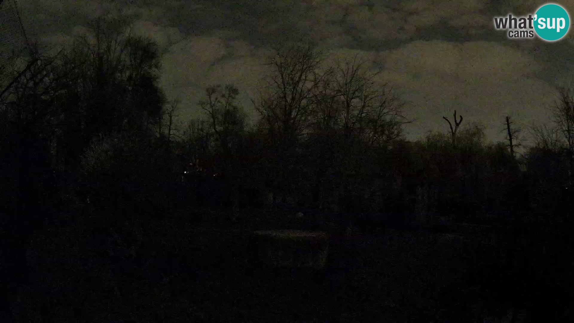 Zoo Zagreb – Löwen