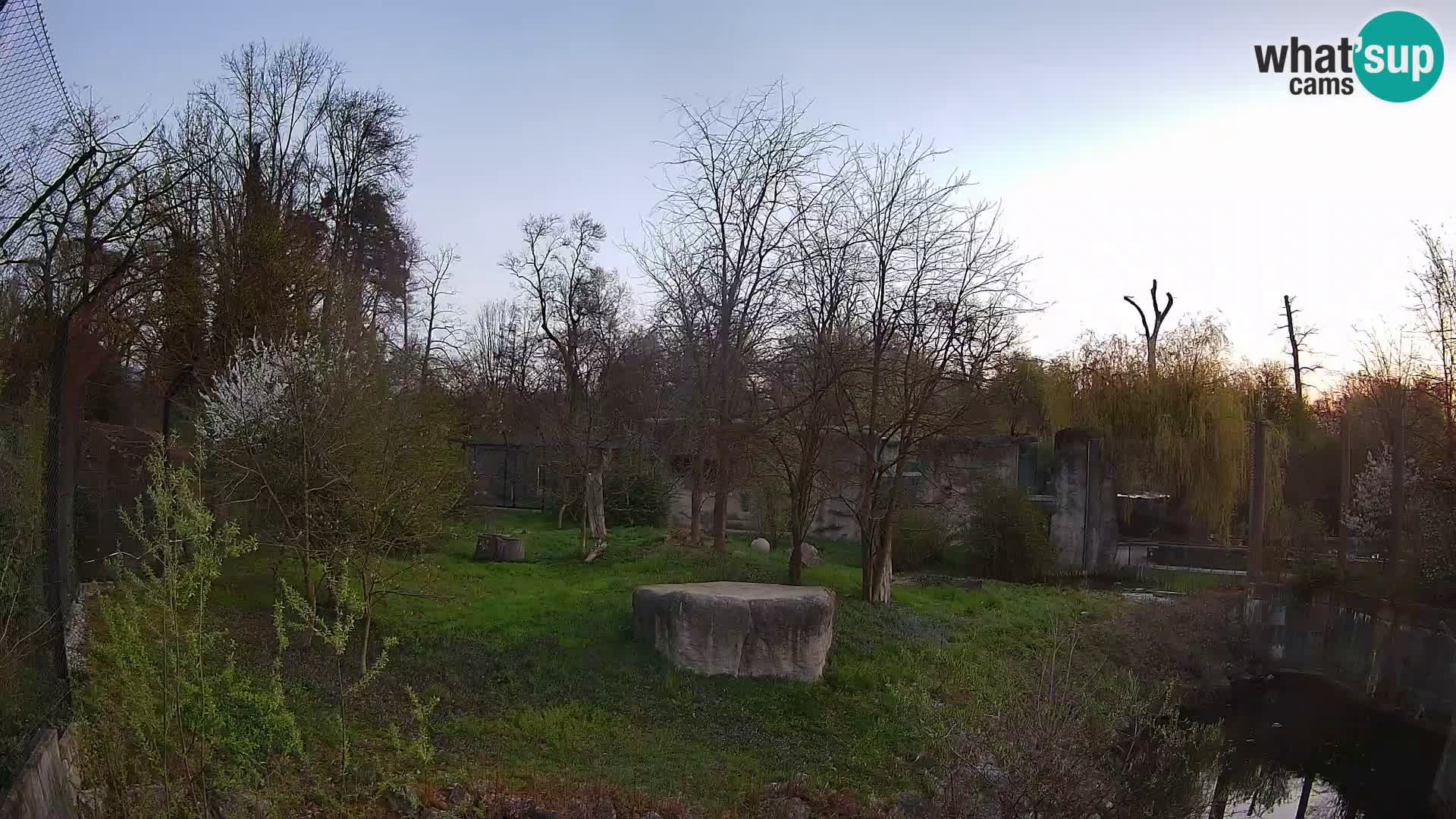 Zoo Zagreb – Leones