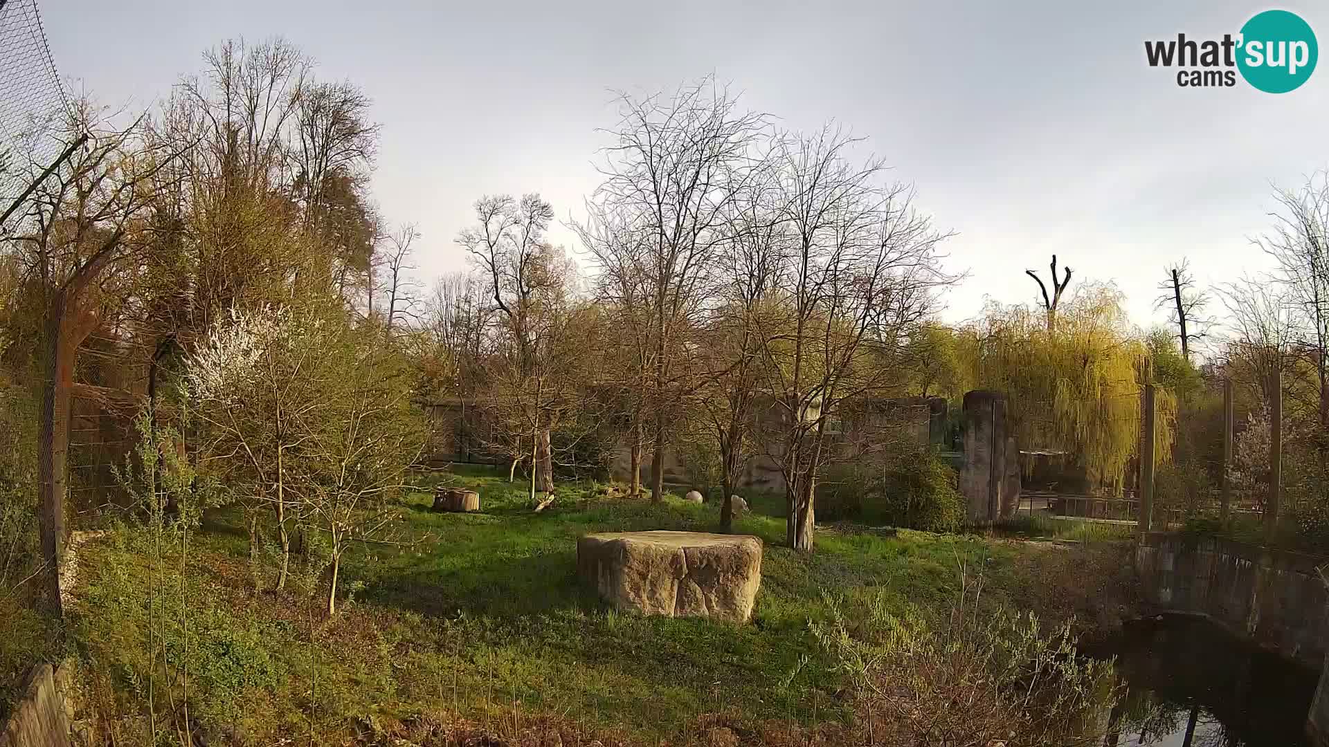 Zoo Zagreb – Löwen