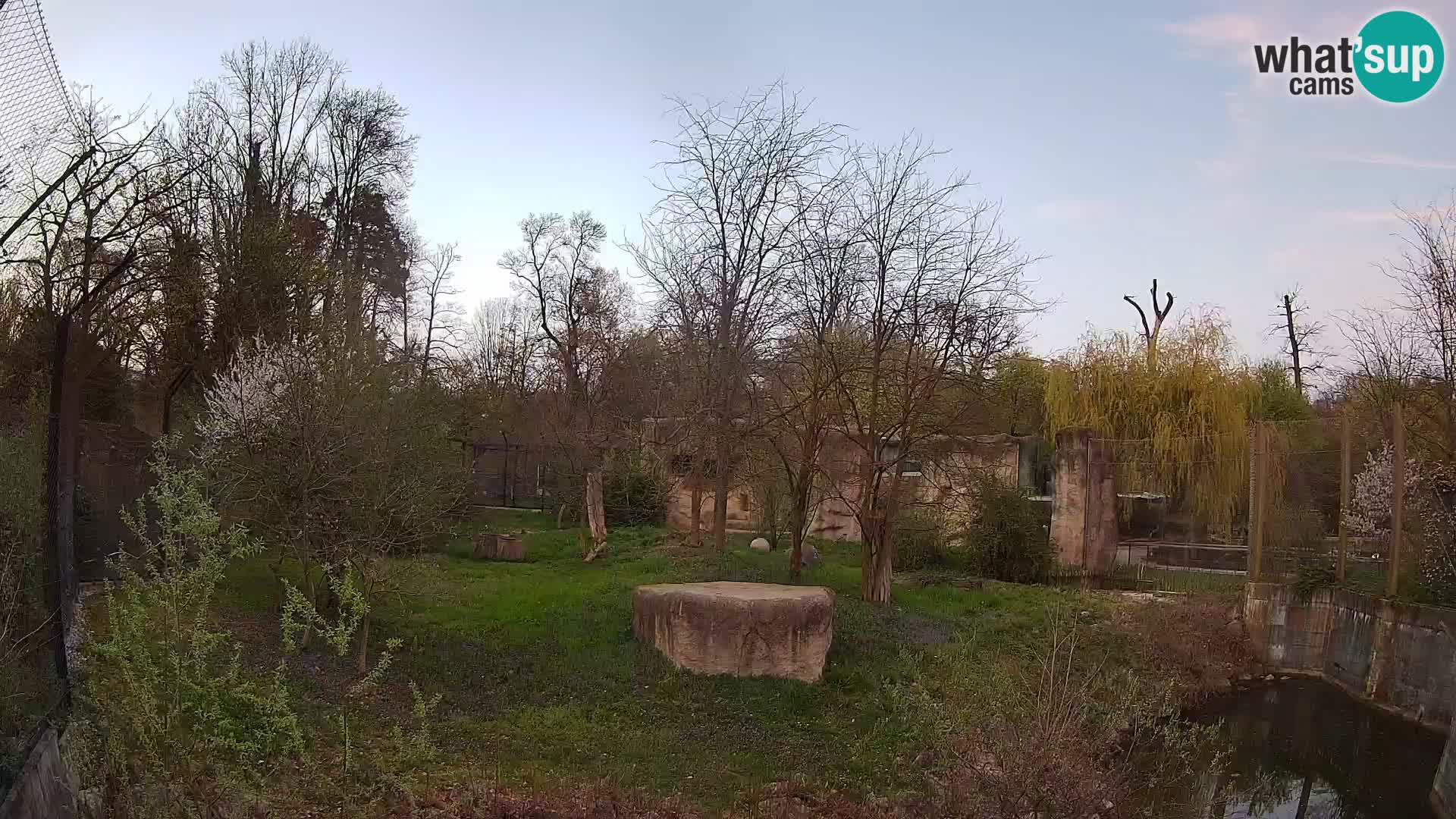 Zoo Zagreb – Leoni